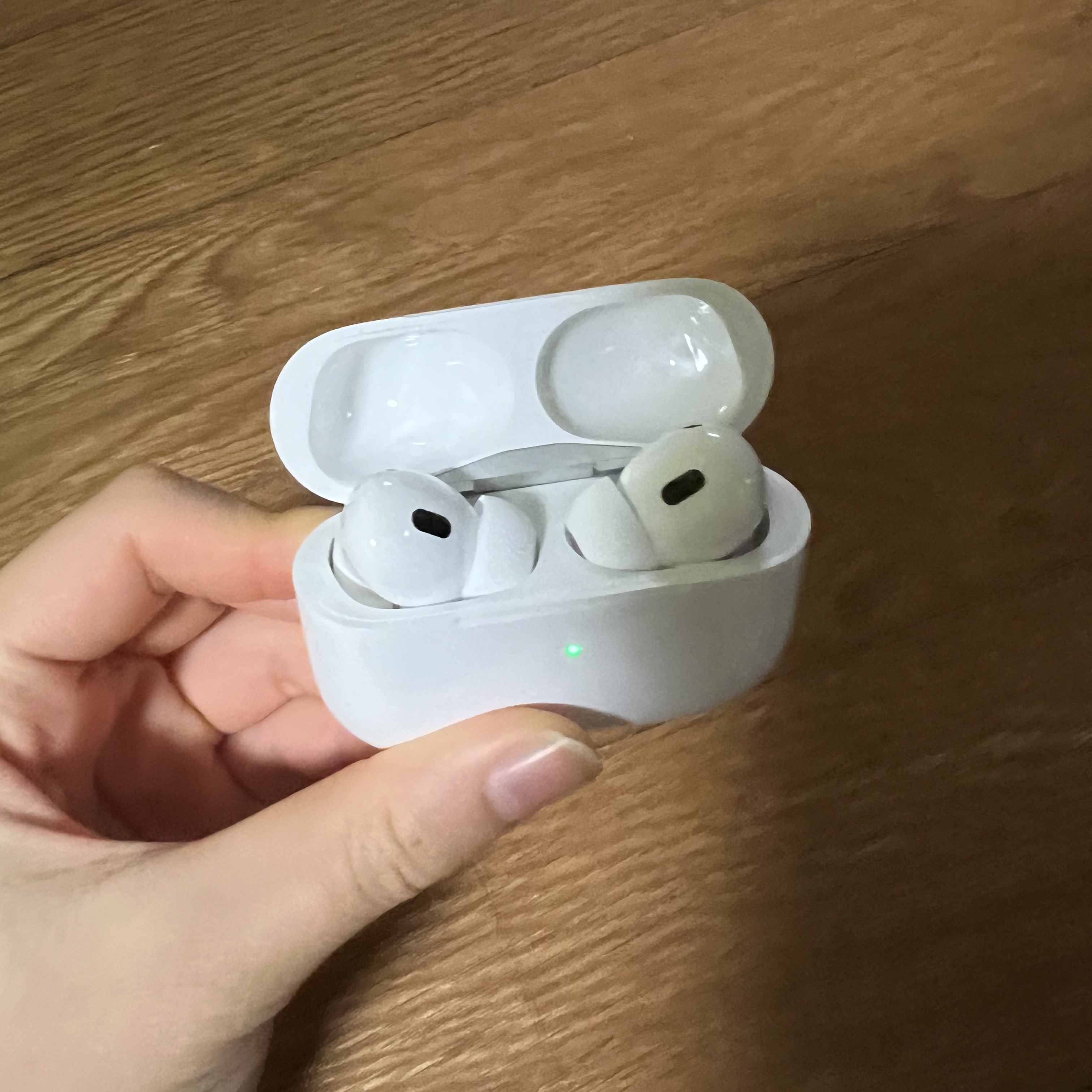 Apple AirPods Pro 2nd Gen (Korean Ver.) 착용 스타일