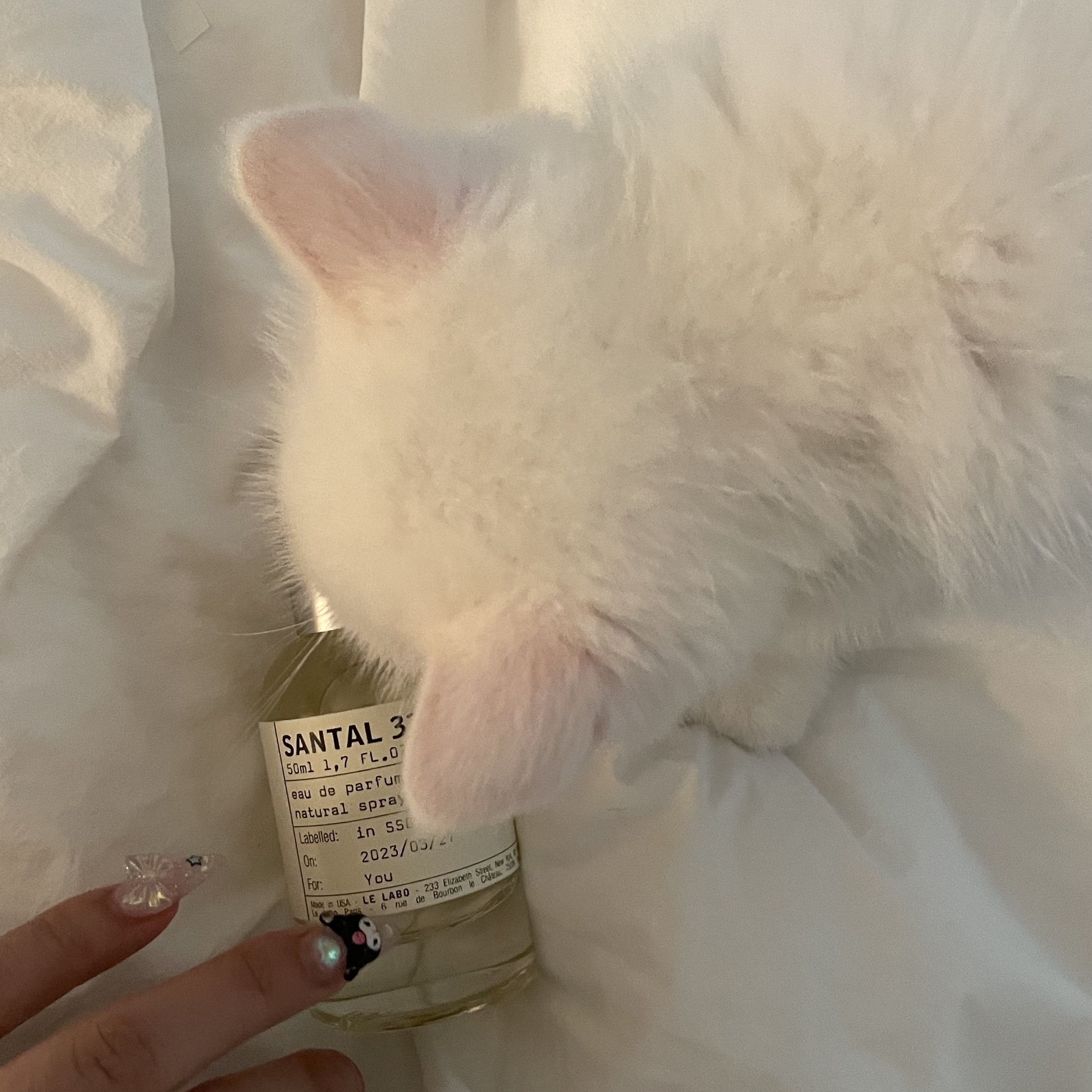 Le Labo Santal 33 Eau De Parfum 50ml 착용 스타일 - 1