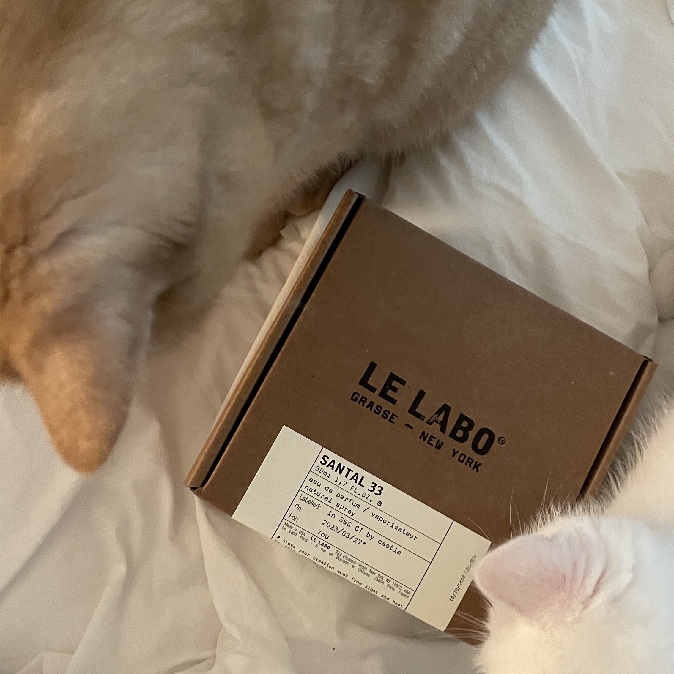 Le Labo Santal 33 Eau De Parfum 50ml 착용 스타일 - 2