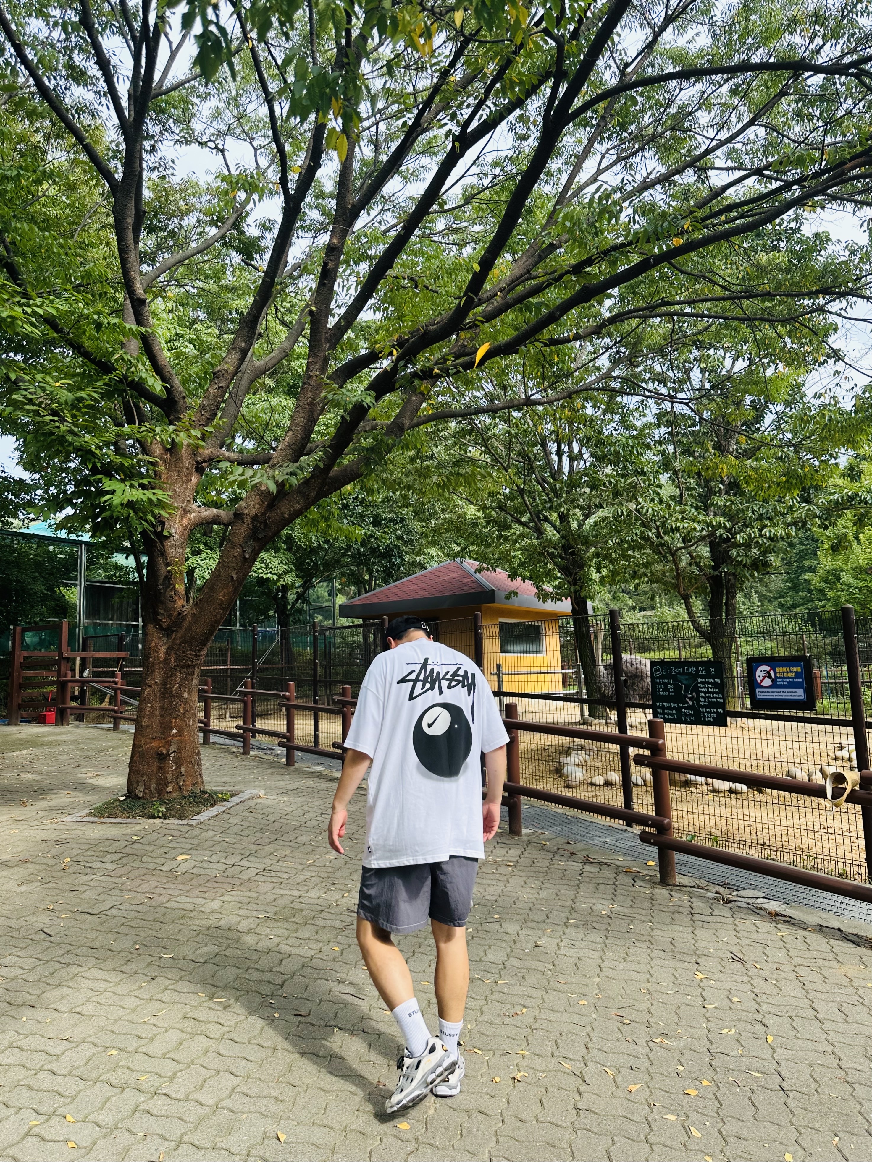 Stussy Bio Washed Big Logo Low Pro Cap Black, Nike x Stussy NRG FL SS 8 Ball T-Shirt White (DO9322-100) 착용 스타일 - 1
