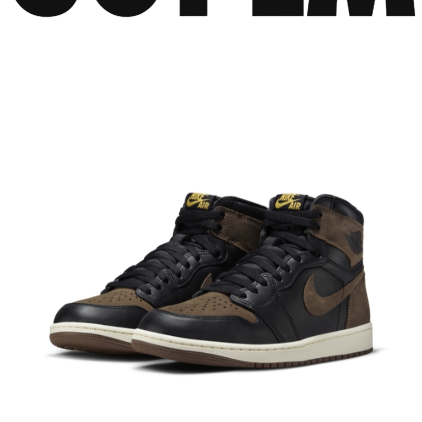 Jordan 1 Retro High OG Palomino 착용 스타일