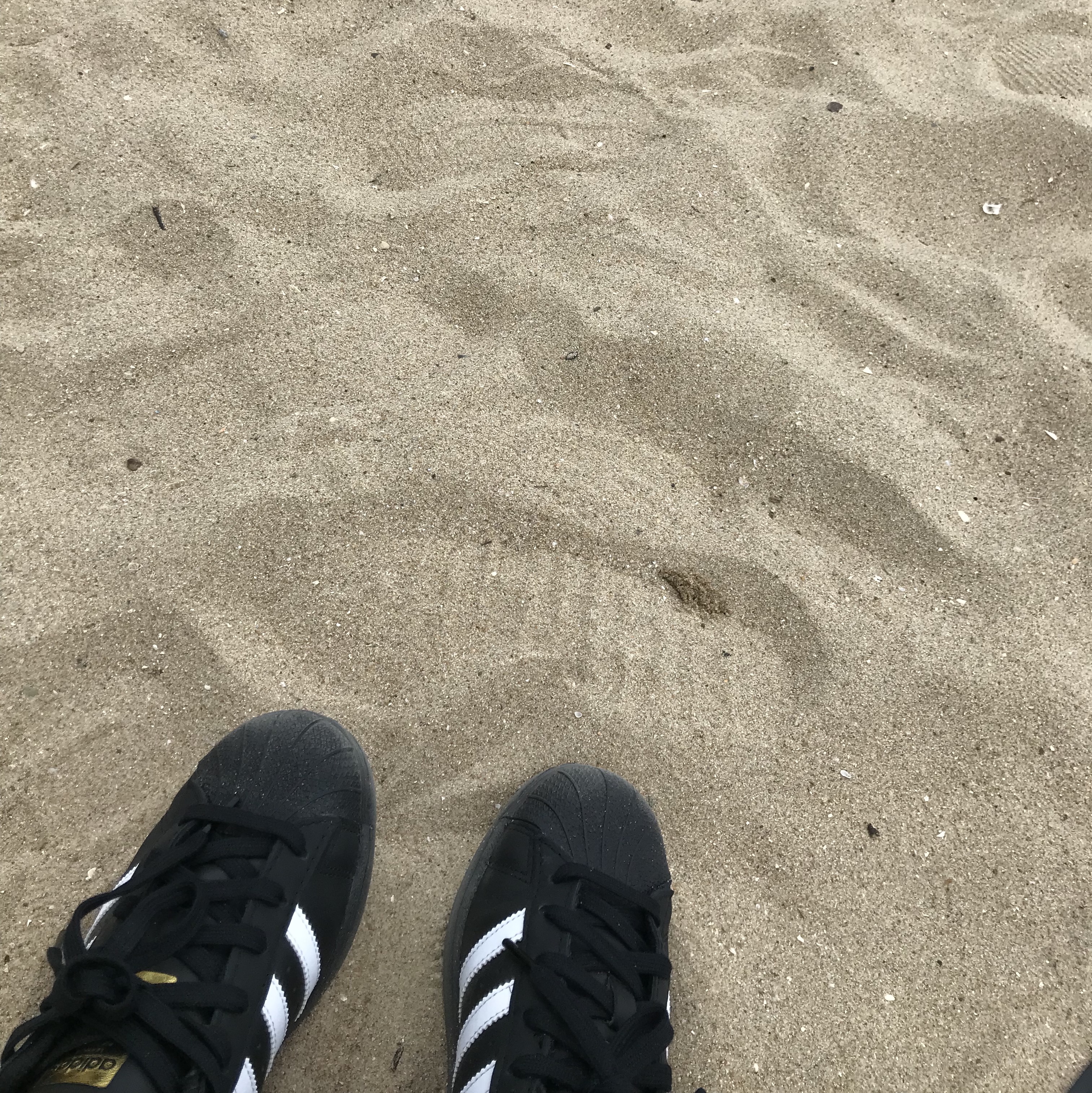 (J) Adidas Superstar Black White 착용 스타일 - 2