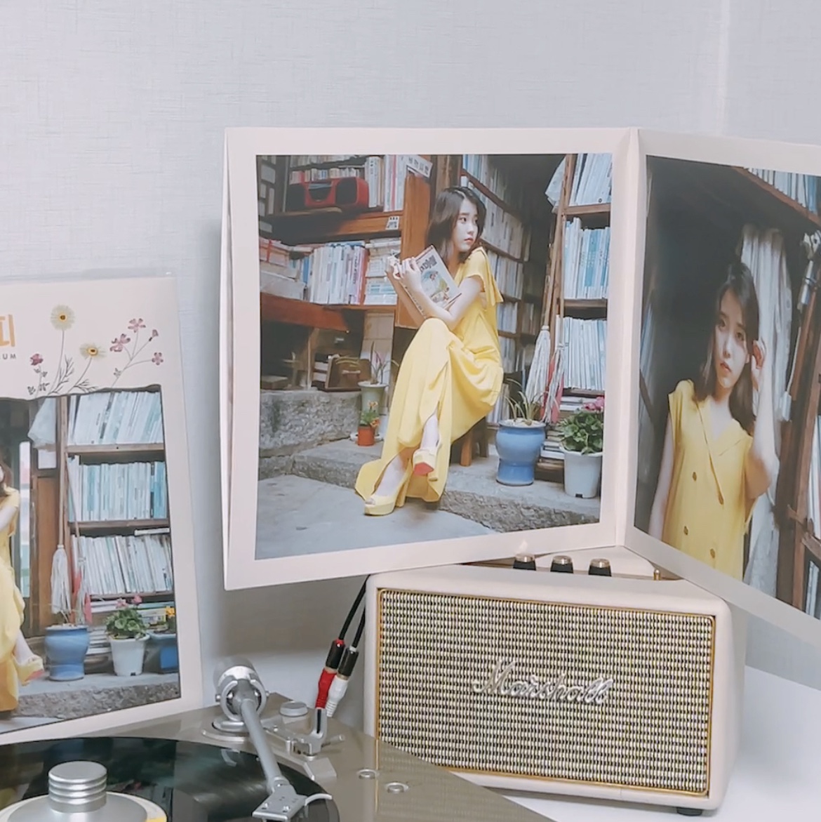 IU Remake Album A Flower Bookmark (Edam Ver.) LP 착용 스타일