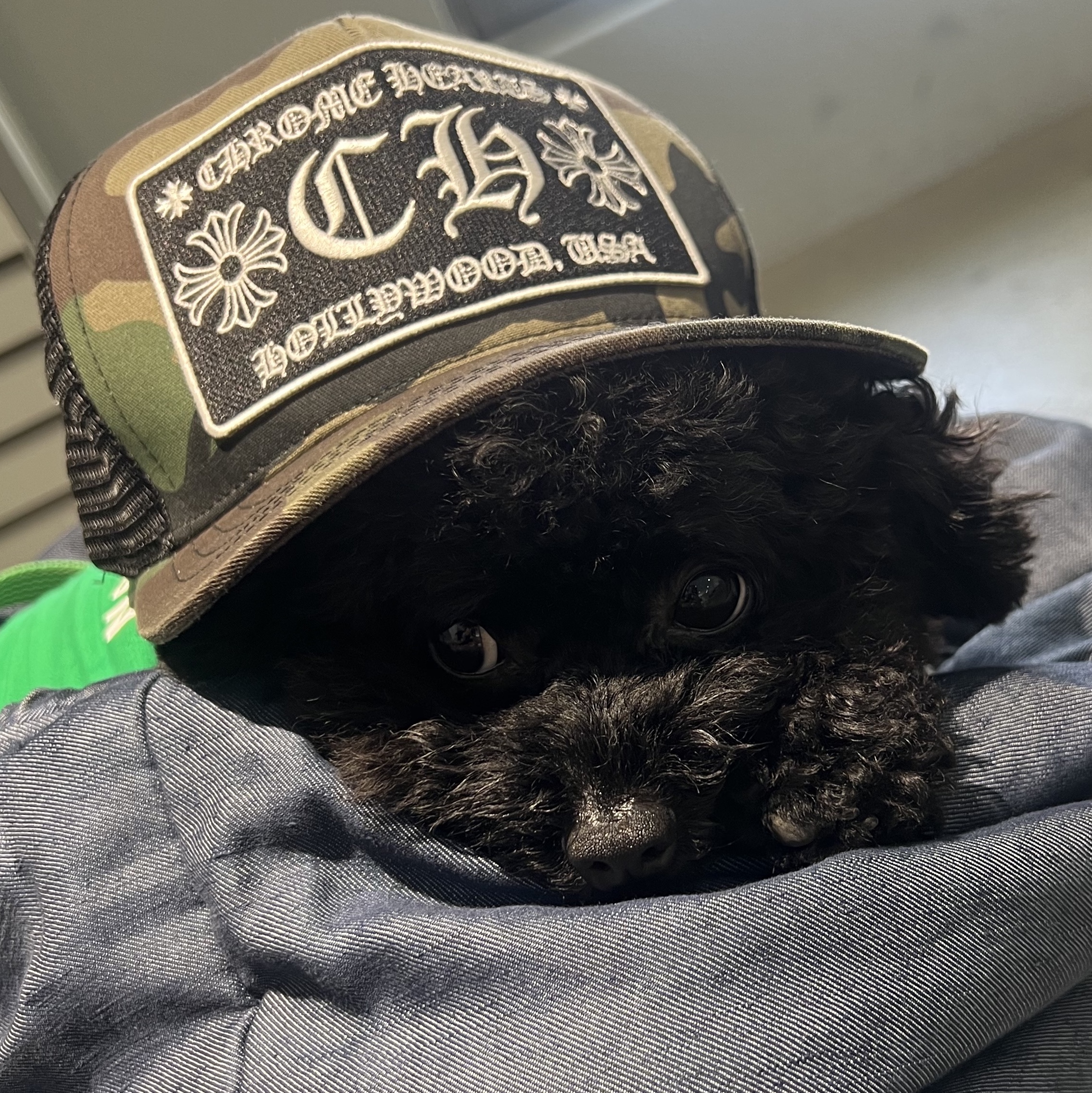 Chrome Hearts CH Hollywood Trucker Hat Camo 착용 스타일 - 3