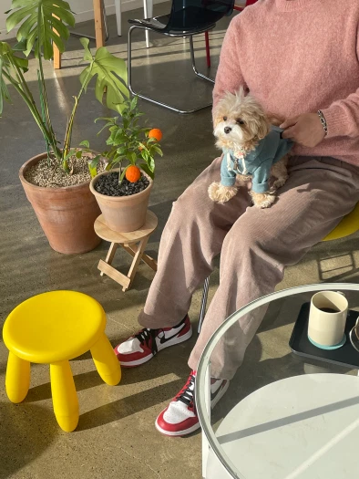 스타일 카드