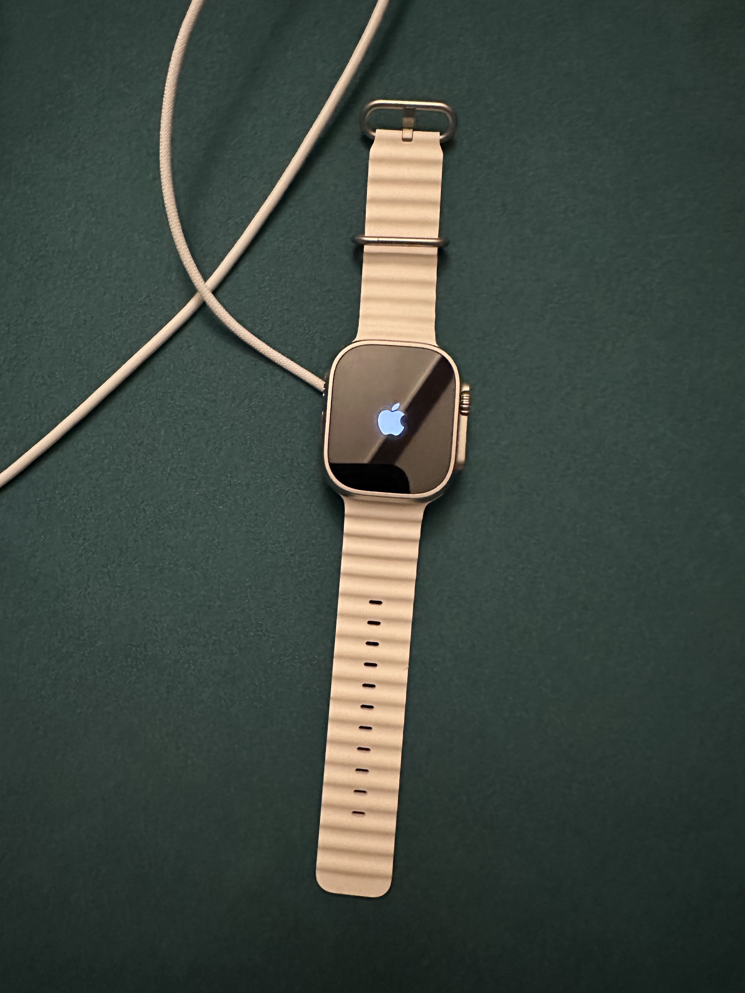 Apple Watch Ultra 49mm Titanium Case with Ocean Band White (Korean Ver.) 착용 스타일