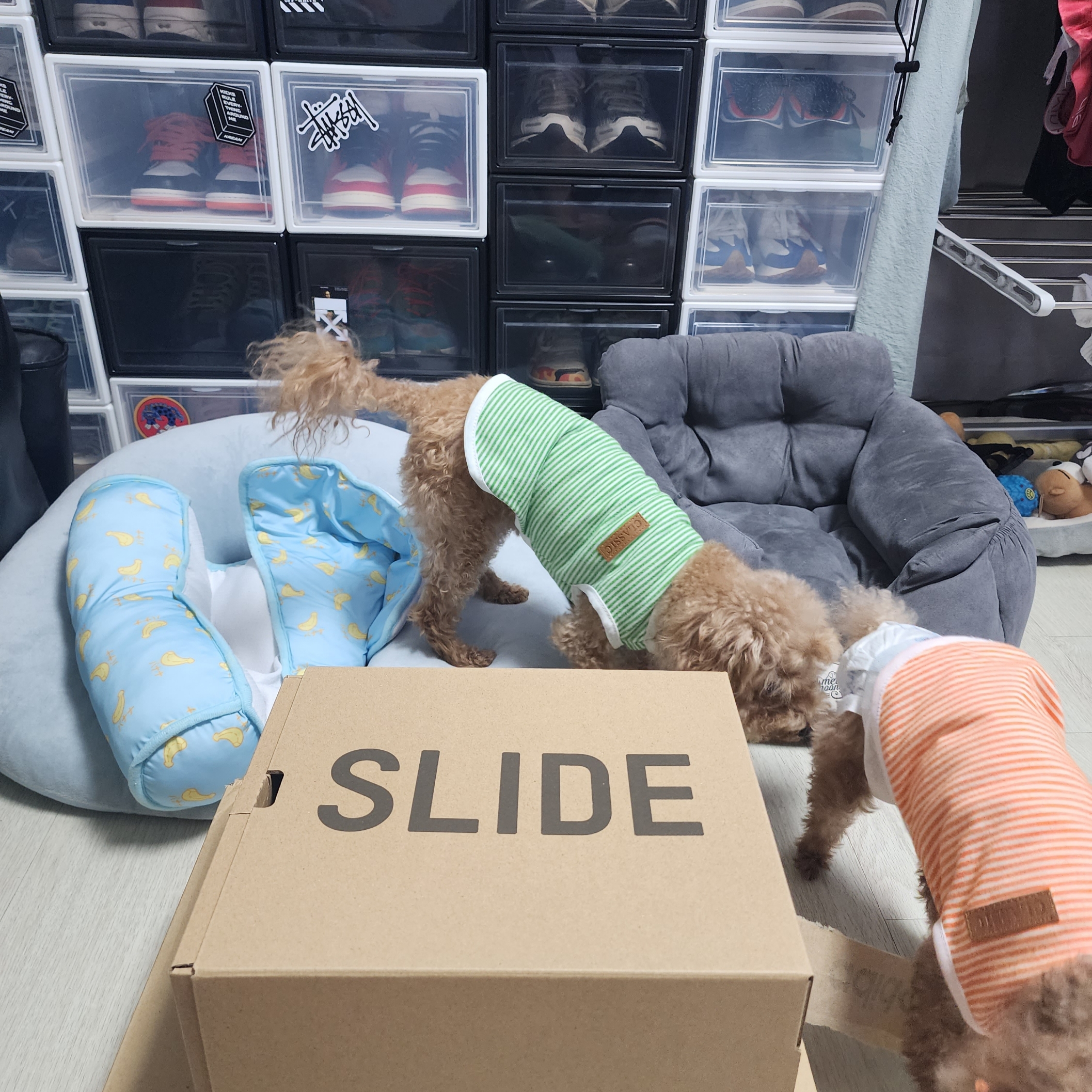 Adidas Yeezy Slide Slate Grey, Adidas Yeezy Slide Granite 착용 스타일 - 1