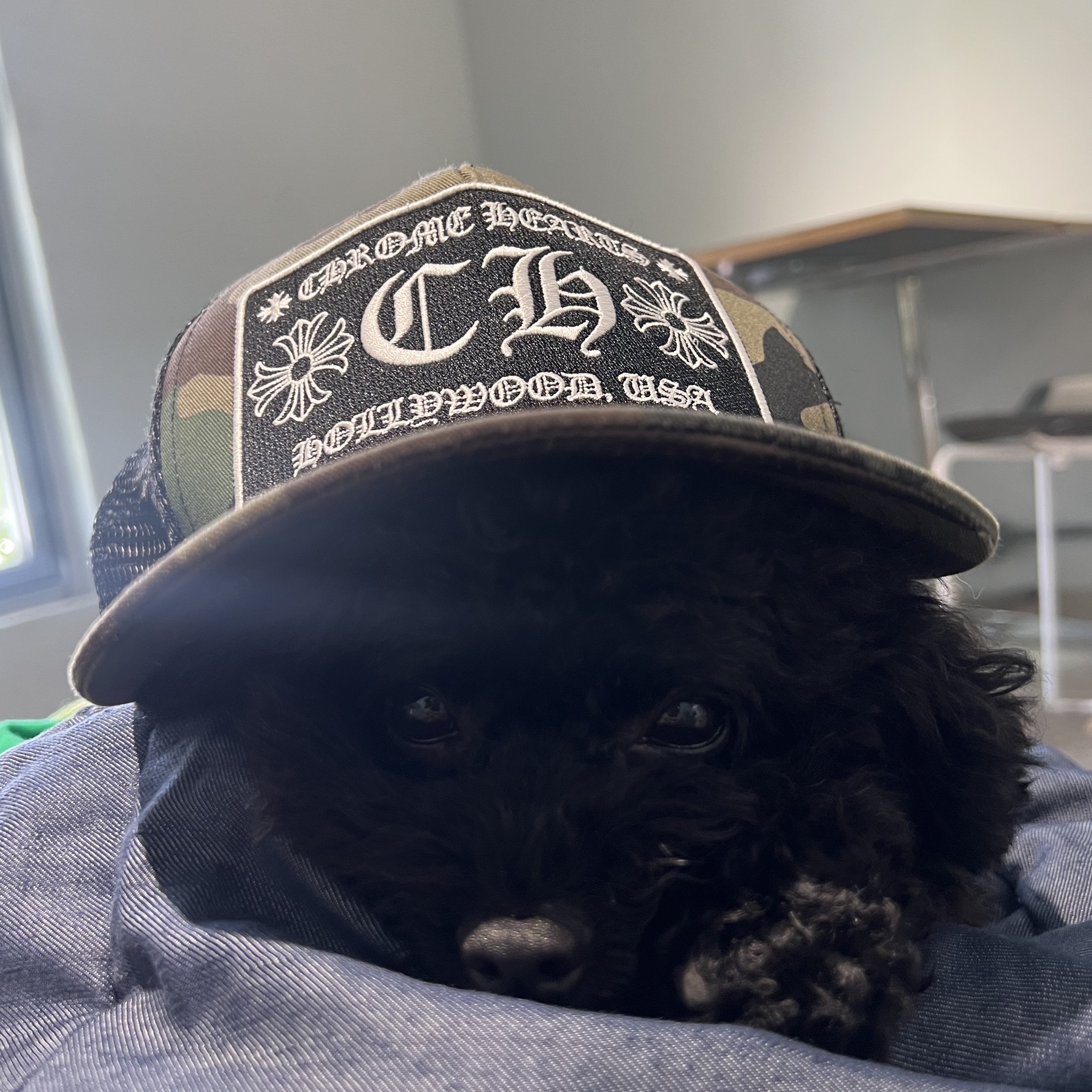 Chrome Hearts CH Hollywood Trucker Hat Camo 착용 스타일 - 2