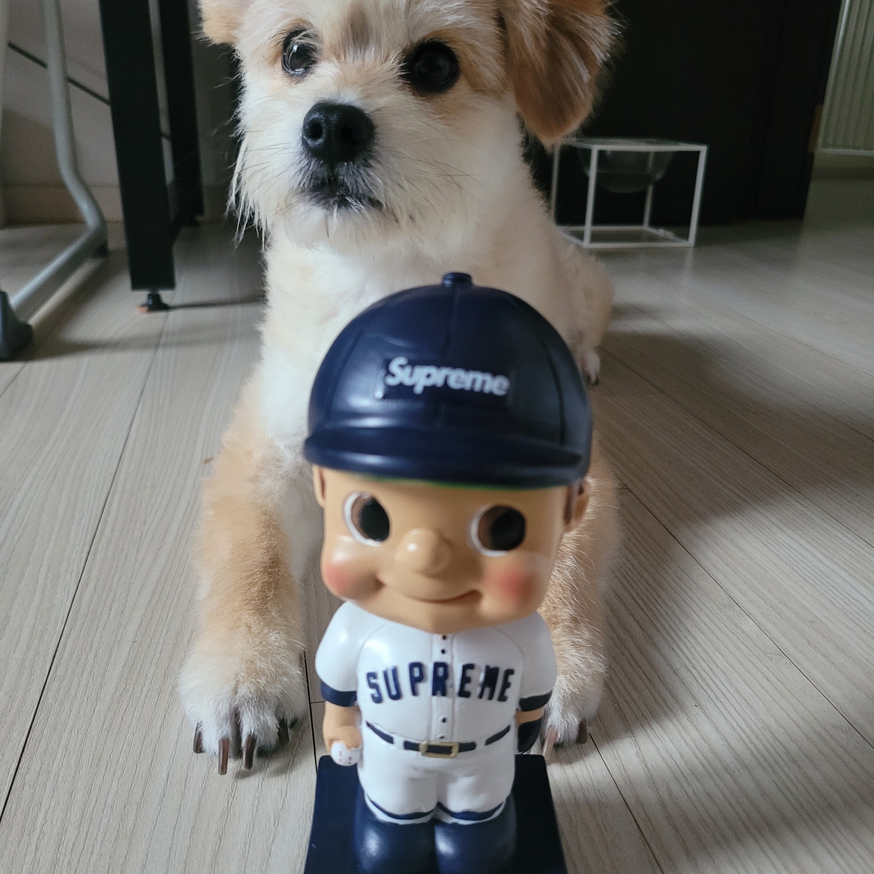 Supreme Bobblehead Blue - 23SS 착용 스타일