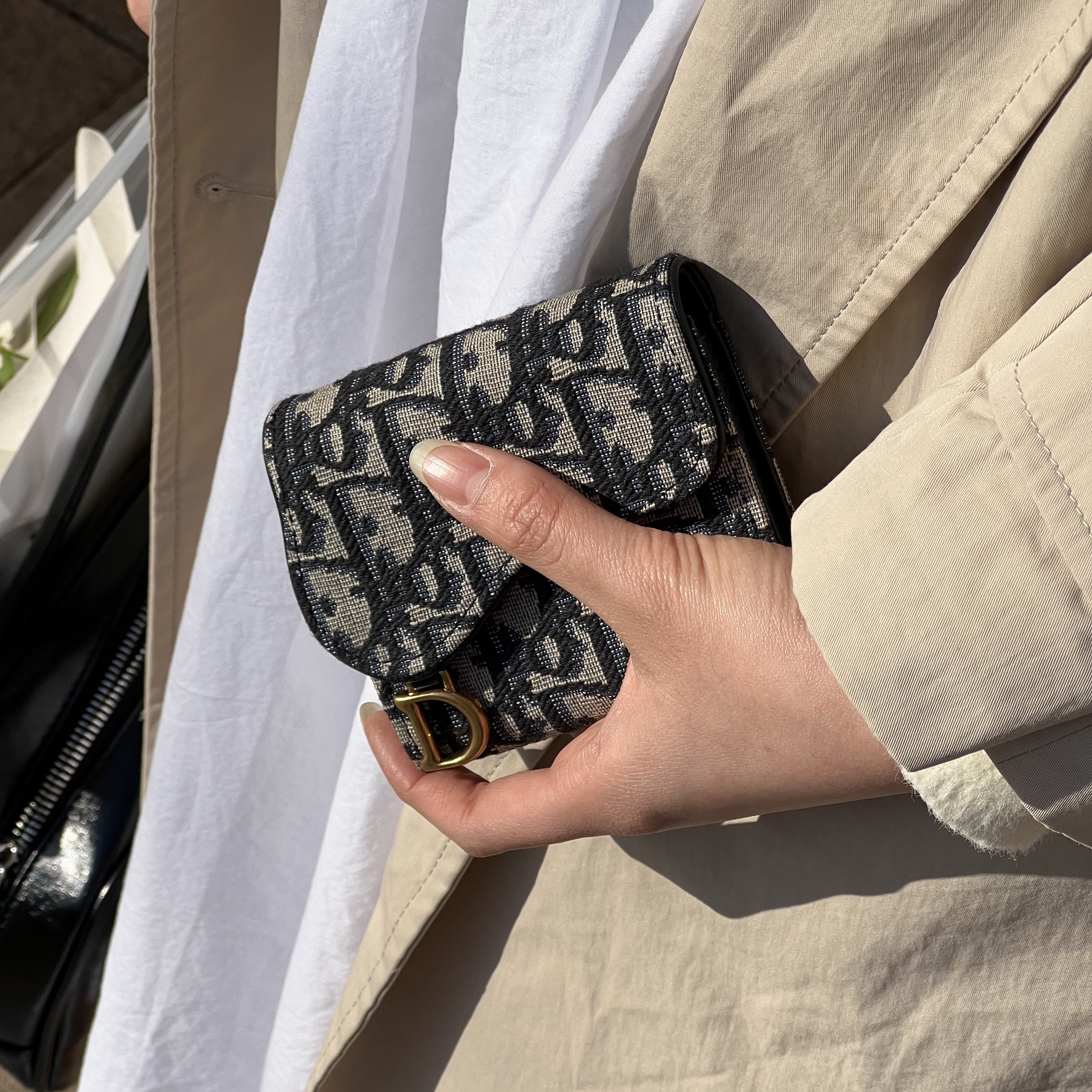 Dior Saddle Lotus Wallet Blue Dior Oblique Jacquard 착용 스타일 - 2