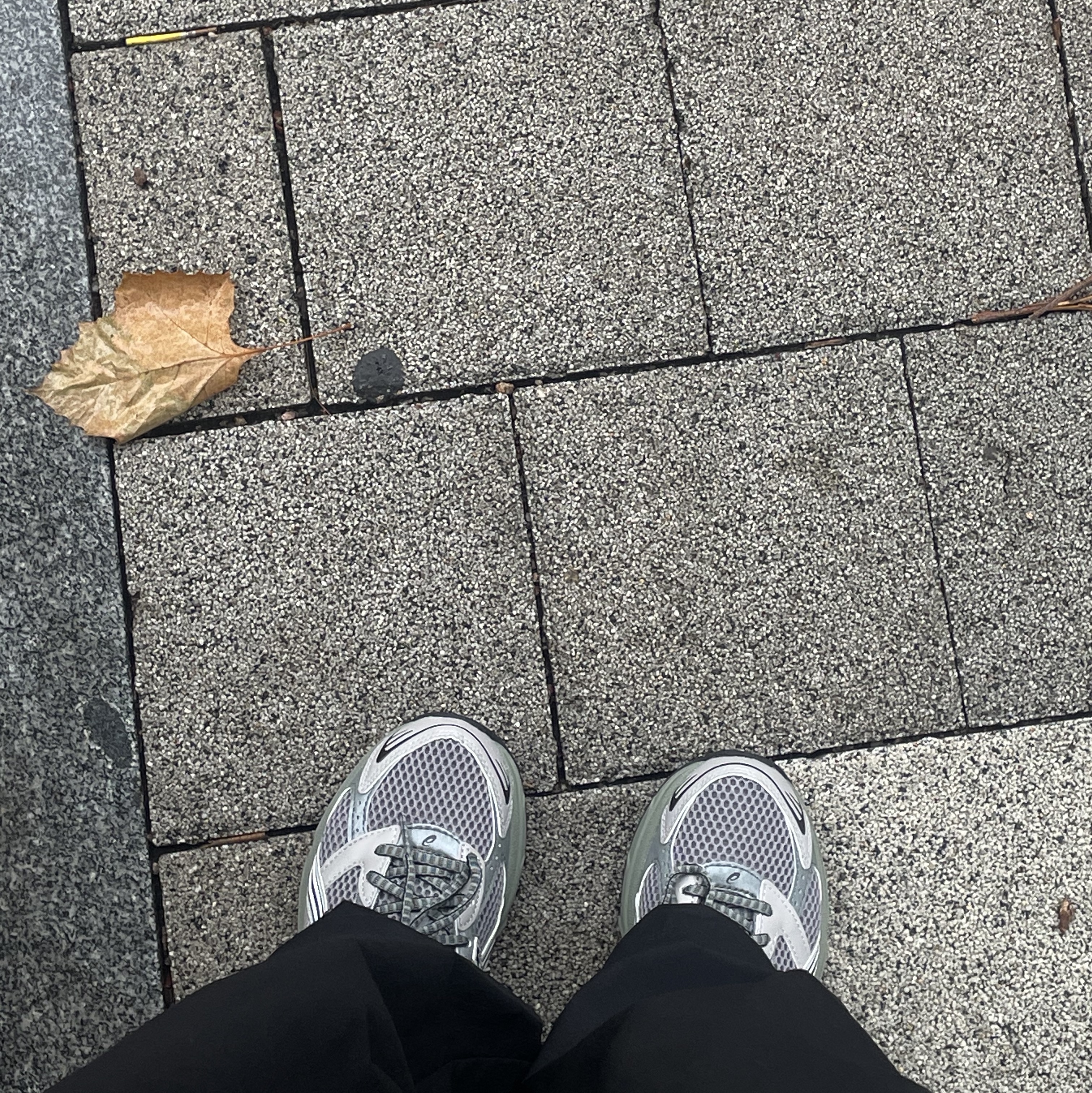 Asics Gel-1130 Wild Dove White - Folder Exclusive 착용 스타일
