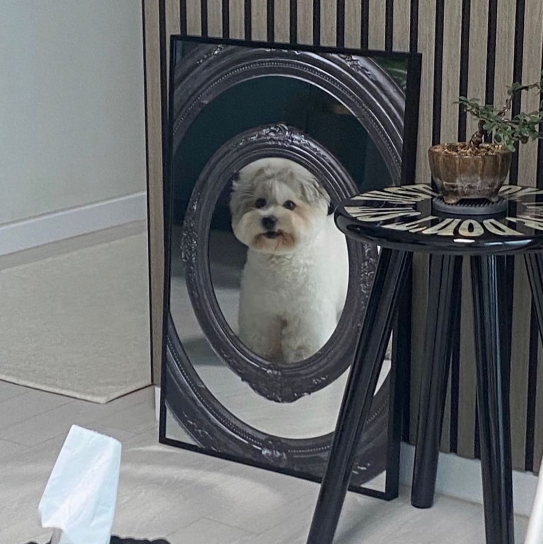 Say Touche Framex3 Mirror Black, Say Touche Jagae Stool Black 착용 스타일