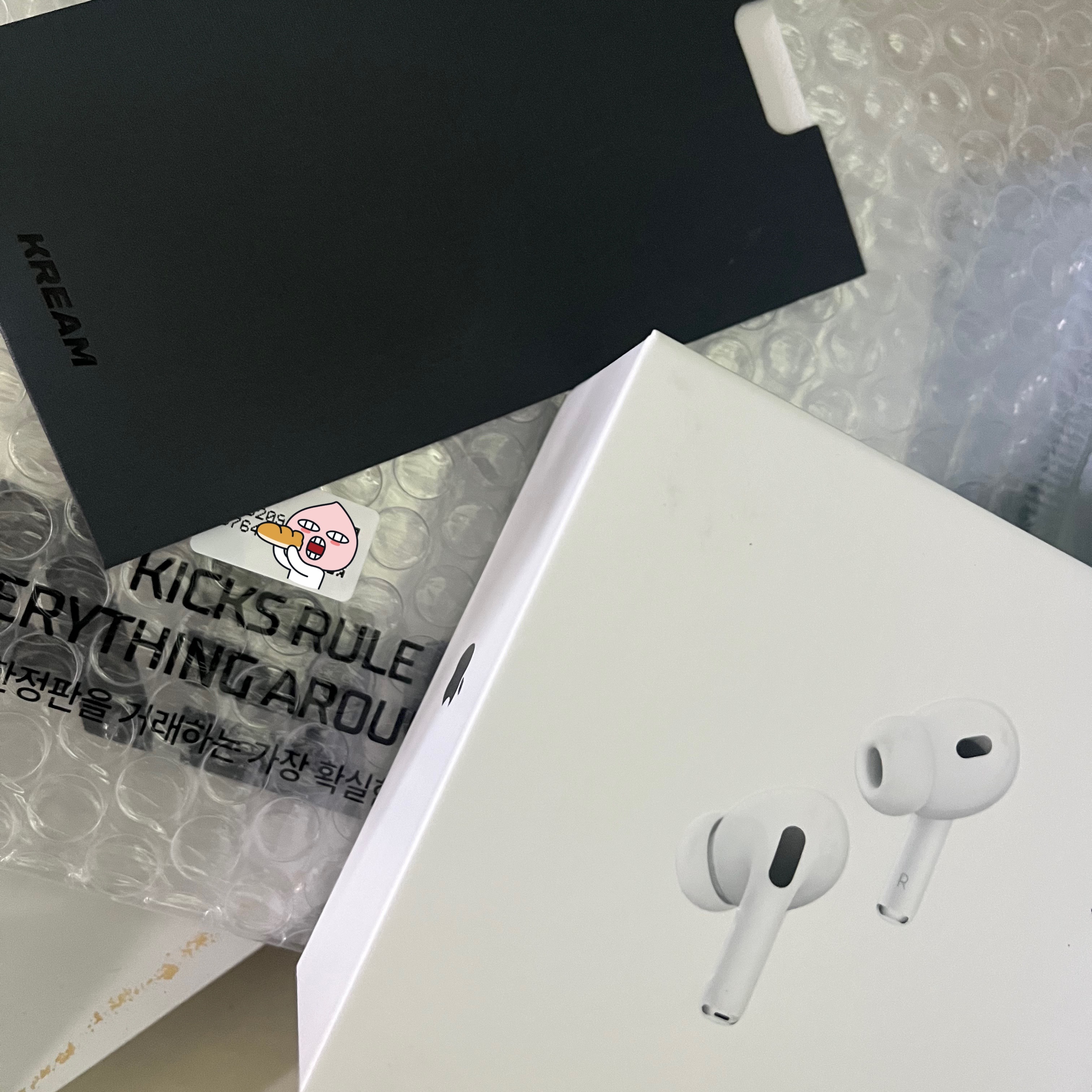 Apple AirPods Pro 2nd Gen (Korean Ver.) 착용 스타일