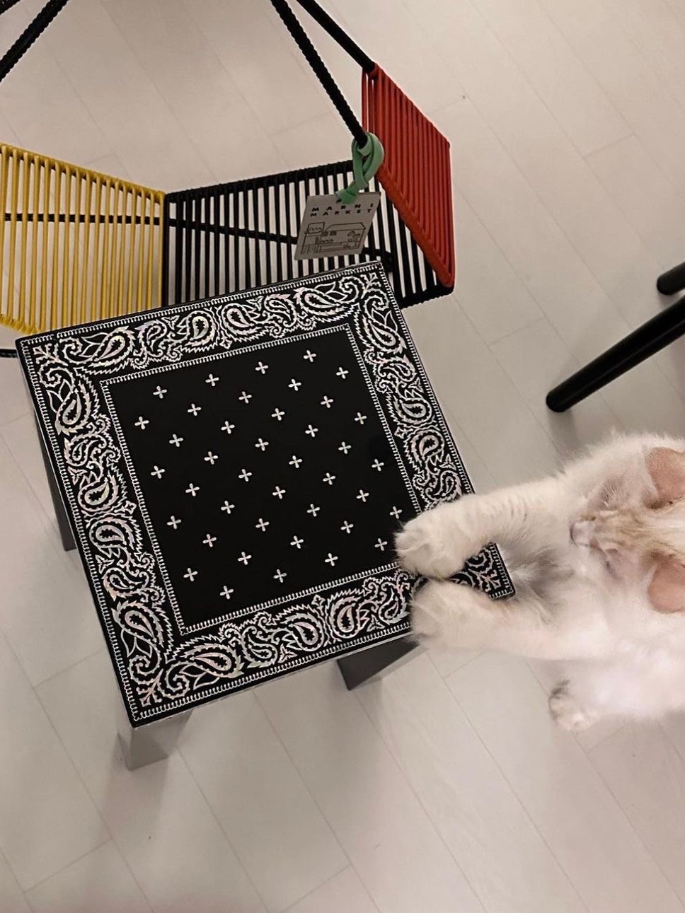 Say Touche Bandana Jagae Stool Navy 착용 스타일