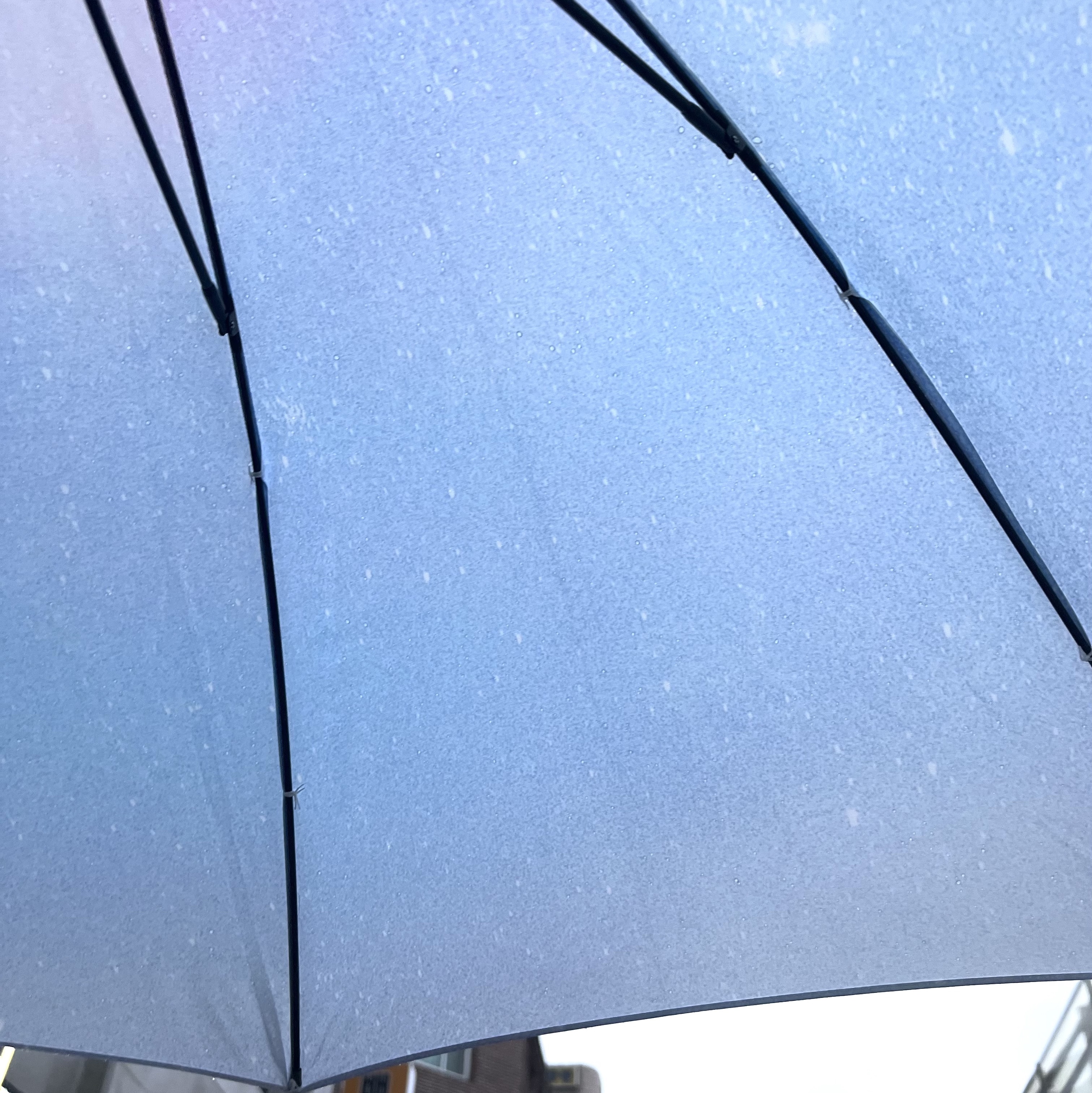 Bloomingtale Compact Disk Umbrella Silver Dye Handle 착용 스타일