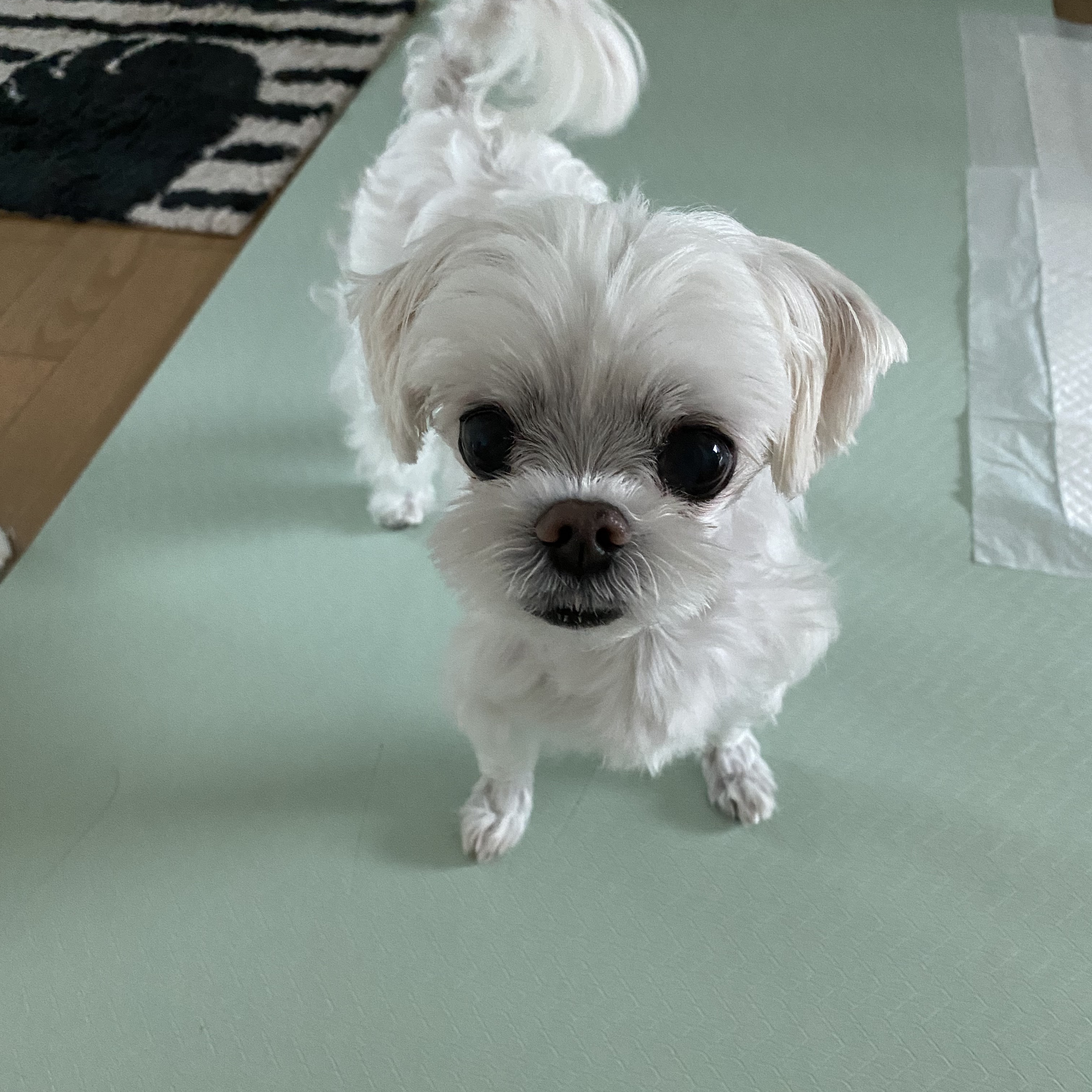heesook님의 스타일