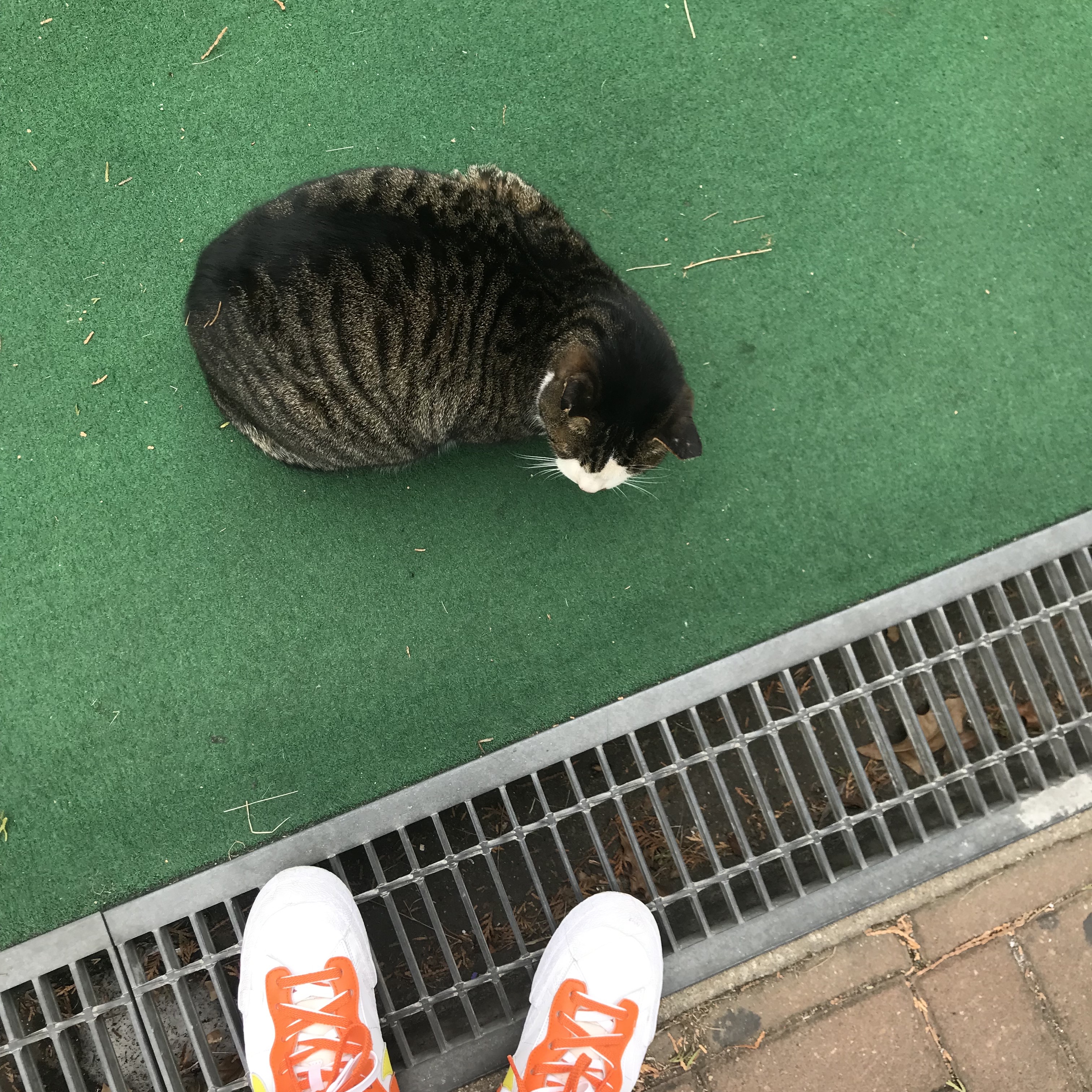 Nike x Sacai Blazer Low Magma Orange 착용 스타일 - 3