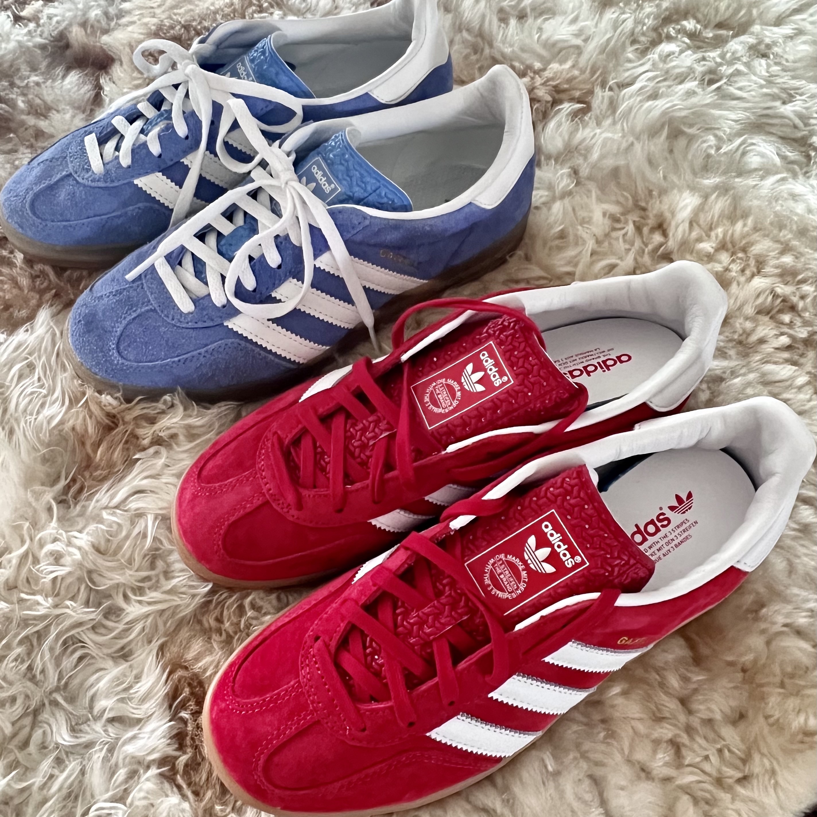 Adidas Gazelle Indoor Scarlet, (W) Adidas Gazelle Indoor Blue Fusion Cloud White 착용 스타일