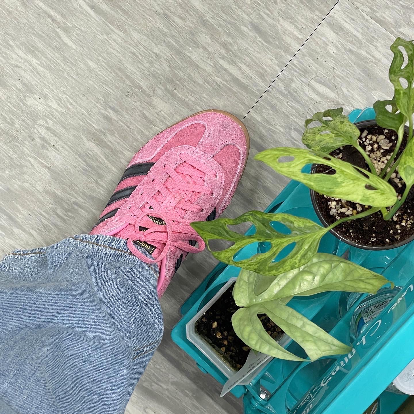(W) Adidas Gazelle Indoor Bliss Pink 착용 스타일