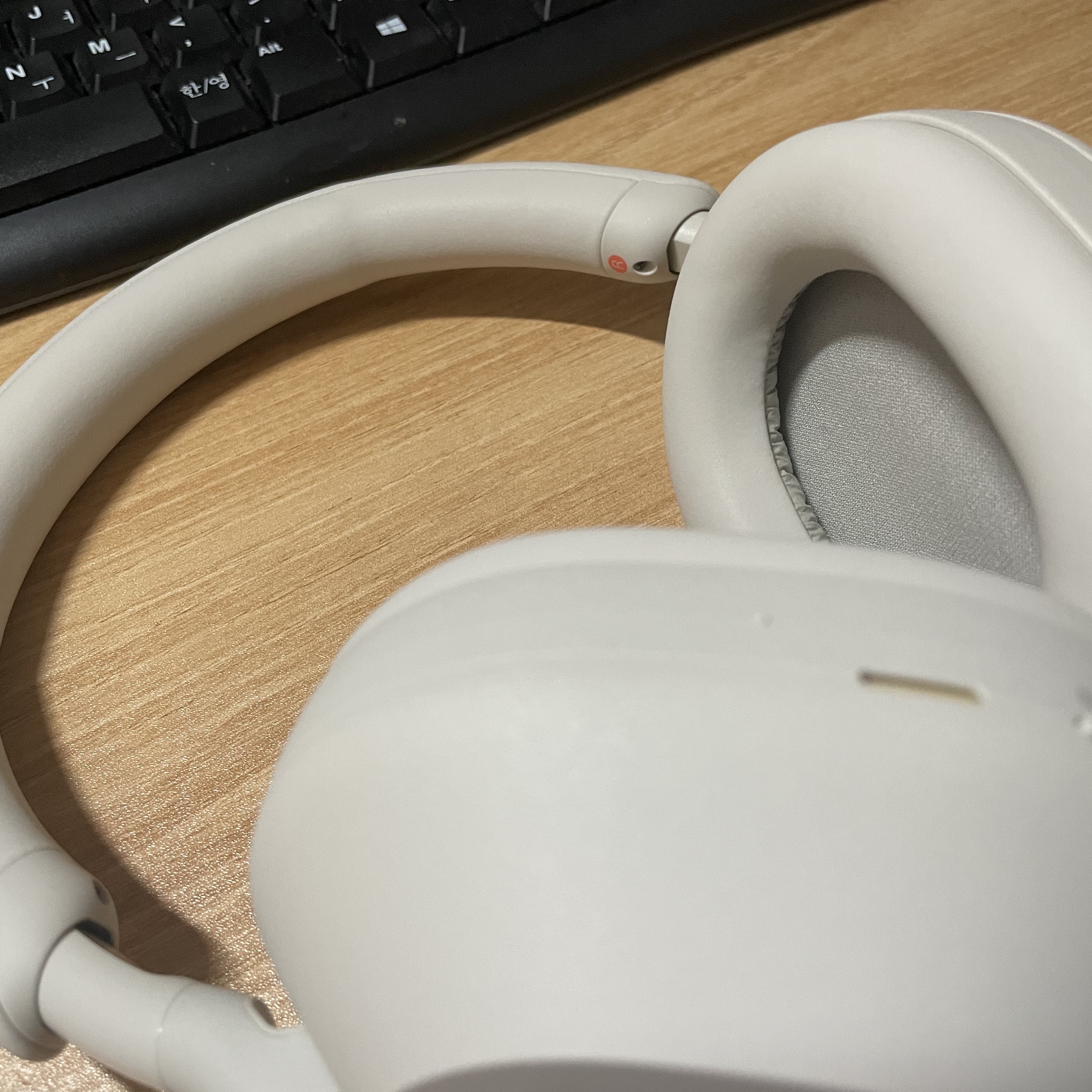 Sony WH-1000XM5 Silver (Korean Ver.) 착용 스타일 - 2