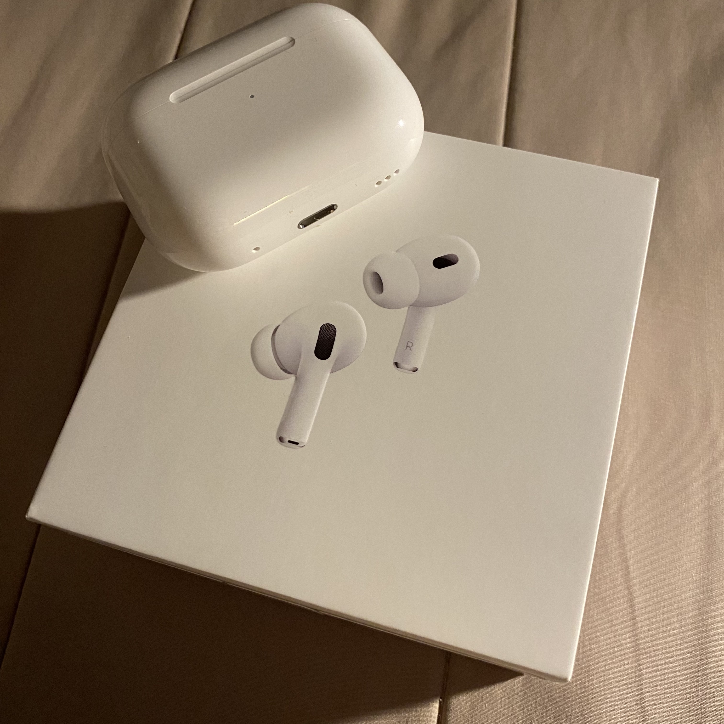 Apple AirPods Pro 2nd Gen (Korean Ver.) 착용 스타일