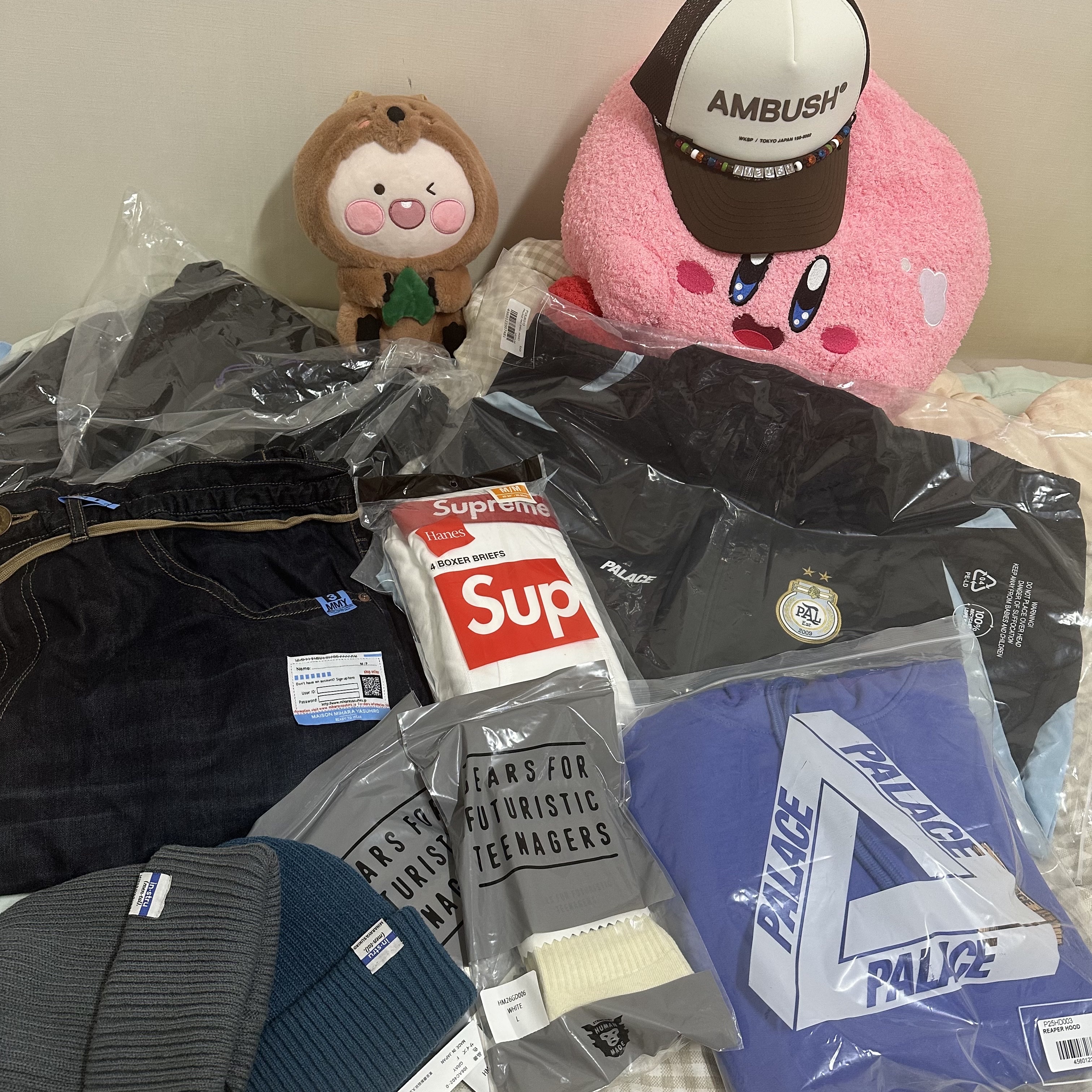 Palace Reaper Hood Ultra - 23FW, Palace Pro Shell Jacket Black - 23FW 착용 스타일