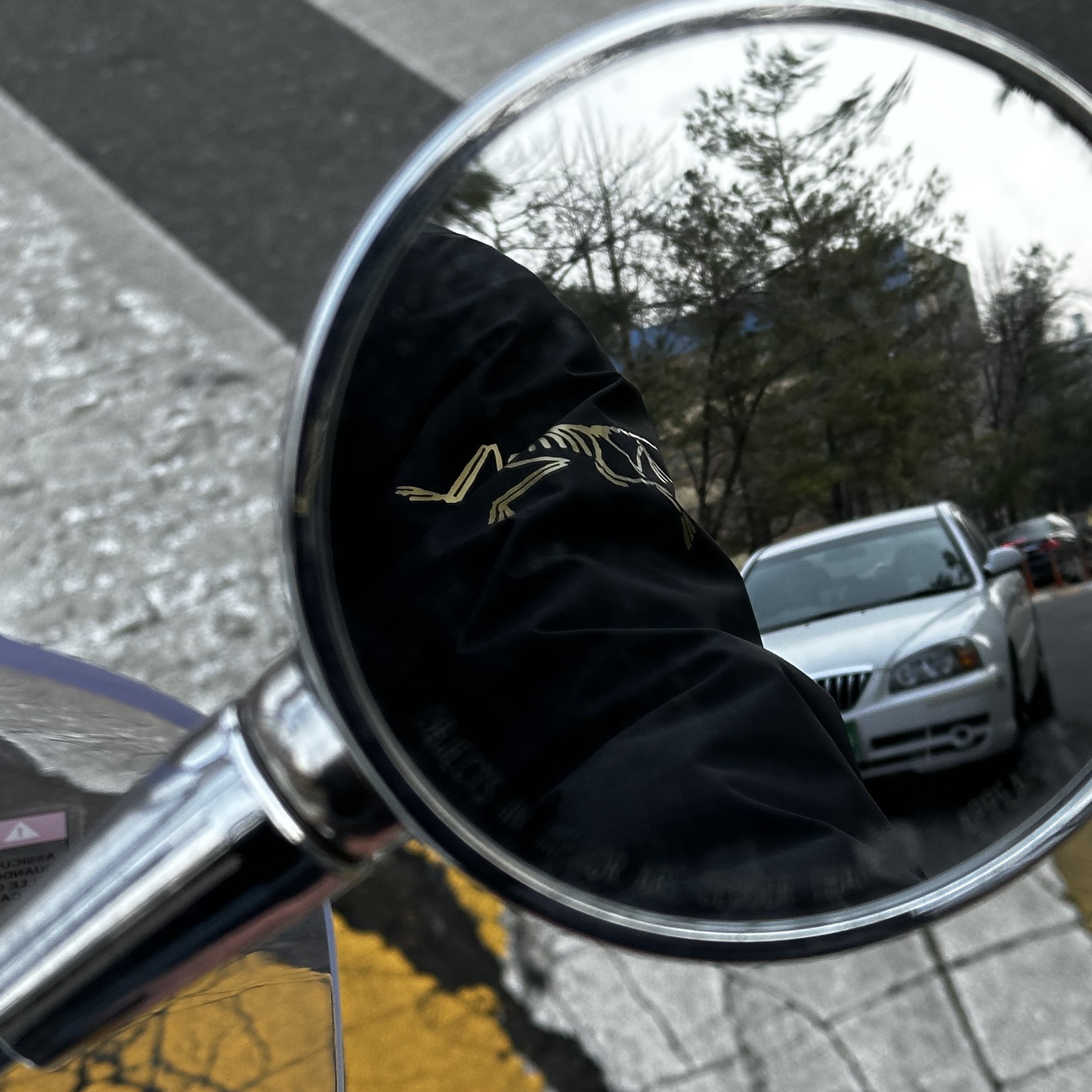 Arc'teryx x Beams Zeta SL Jacket Black Gold 착용 스타일