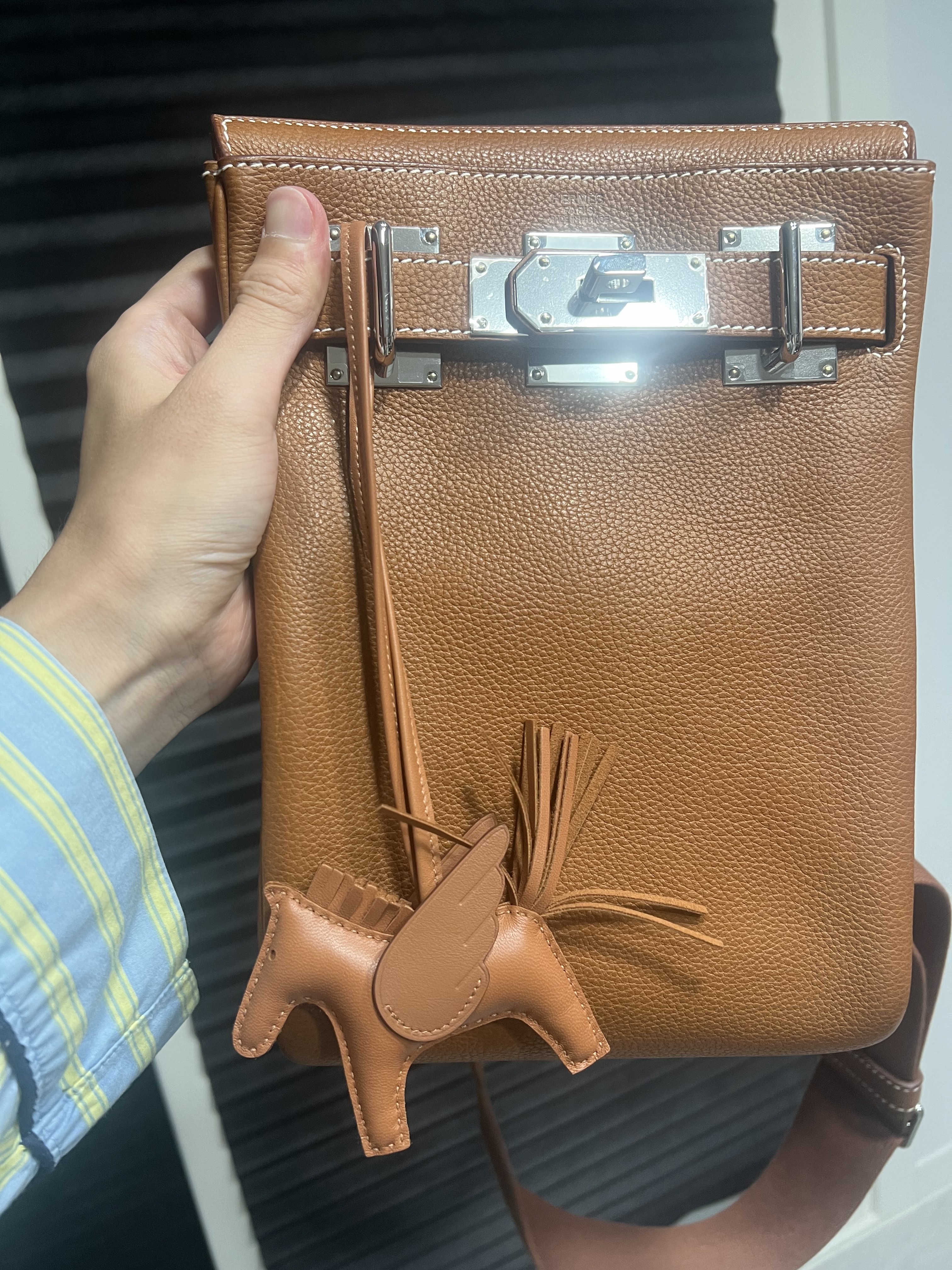 Hermes Rodeo Pegase PM Charm Milo Swift & Gold 착용 스타일