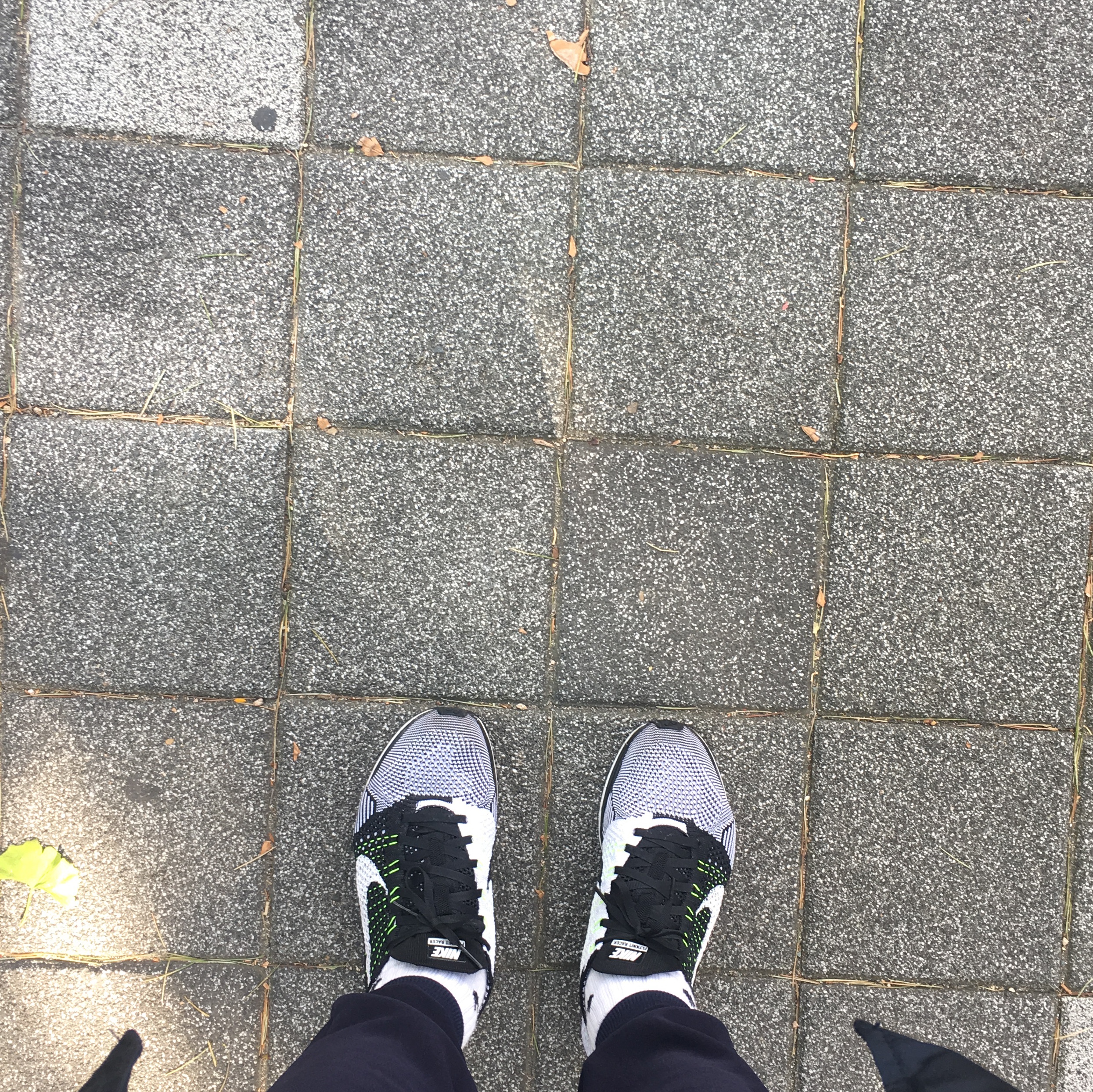 Nike Flyknit Racer Black White Volt 착용 스타일 - 2
