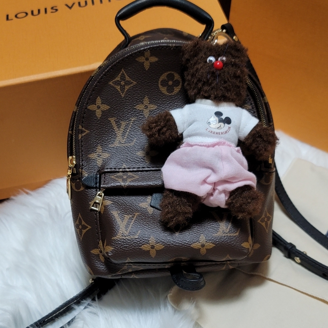 Louis Vuitton Palm Springs Mini Backpack Monogram, Monamhee Bred Keyring with Pink Pants Brown 착용 스타일 - 1