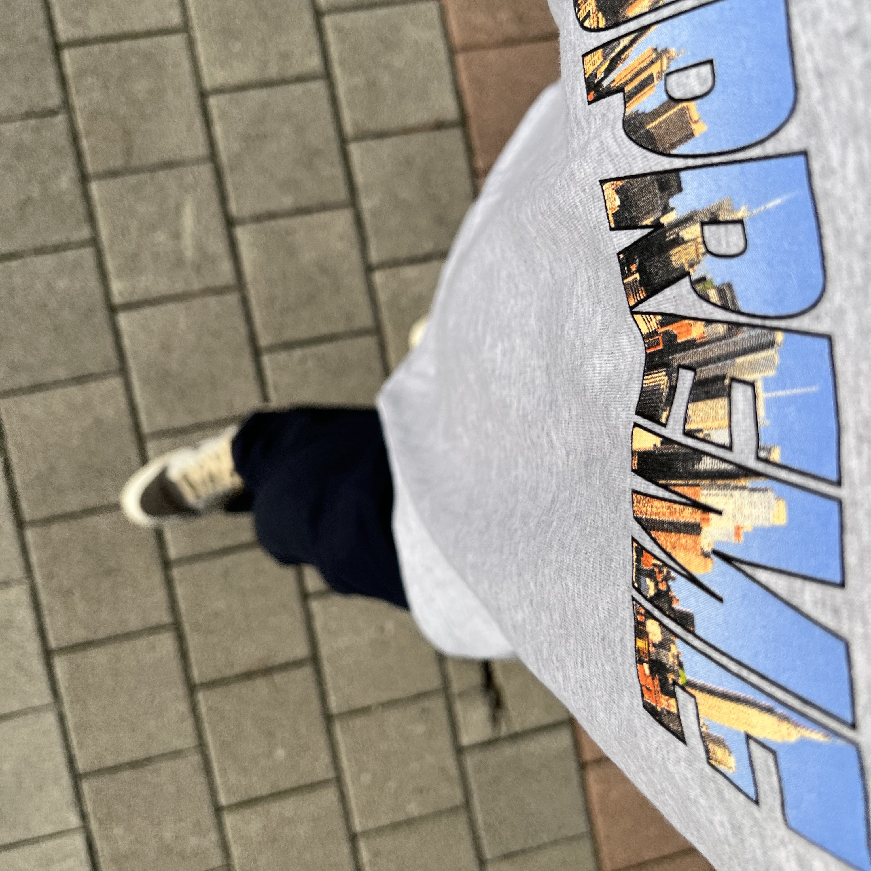Supreme Gotham T-Shirt Ash Grey - 23FW 착용 스타일