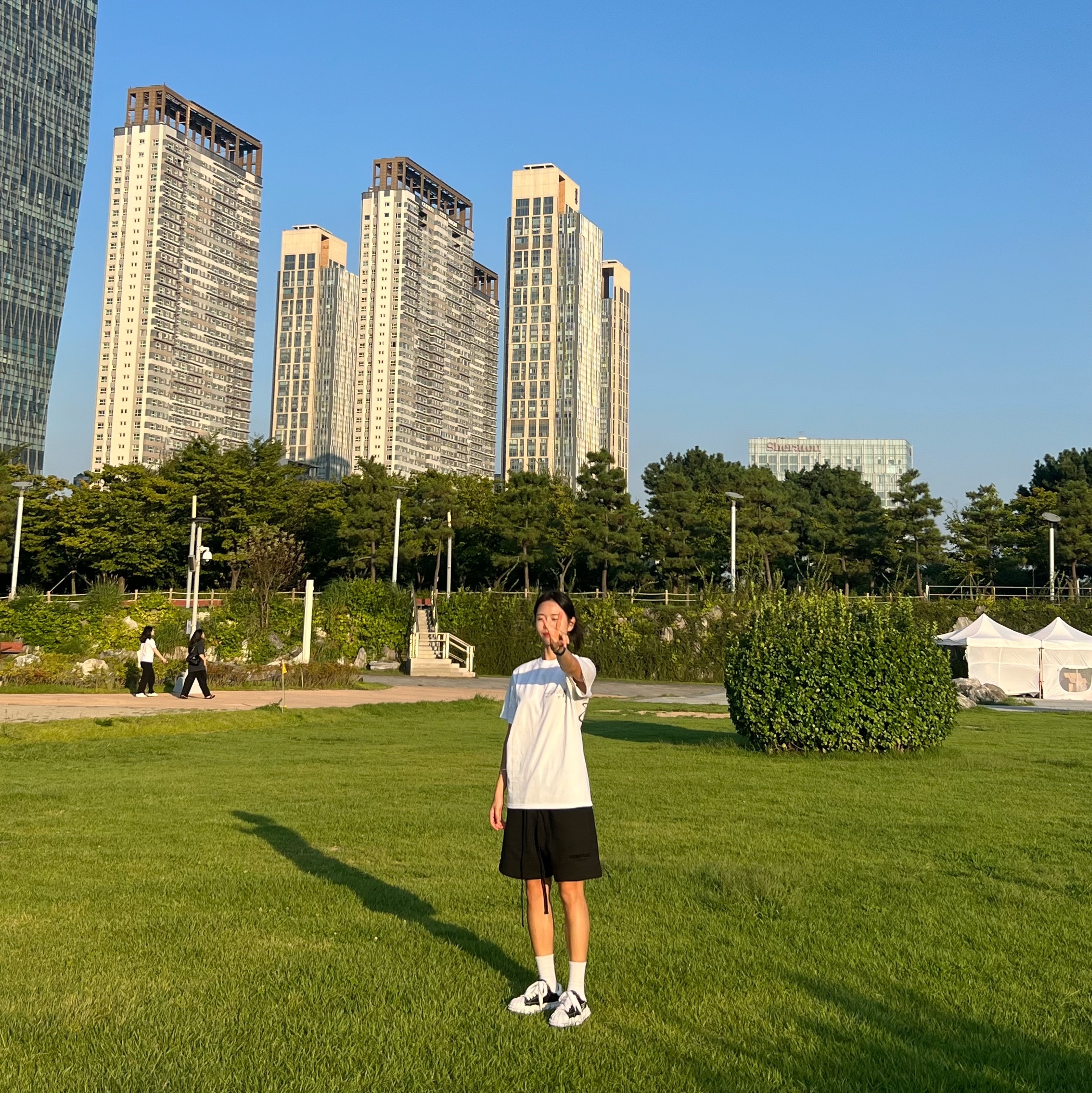 Essentials The Core Collection Sweatshorts Stretch Limo 착용 스타일