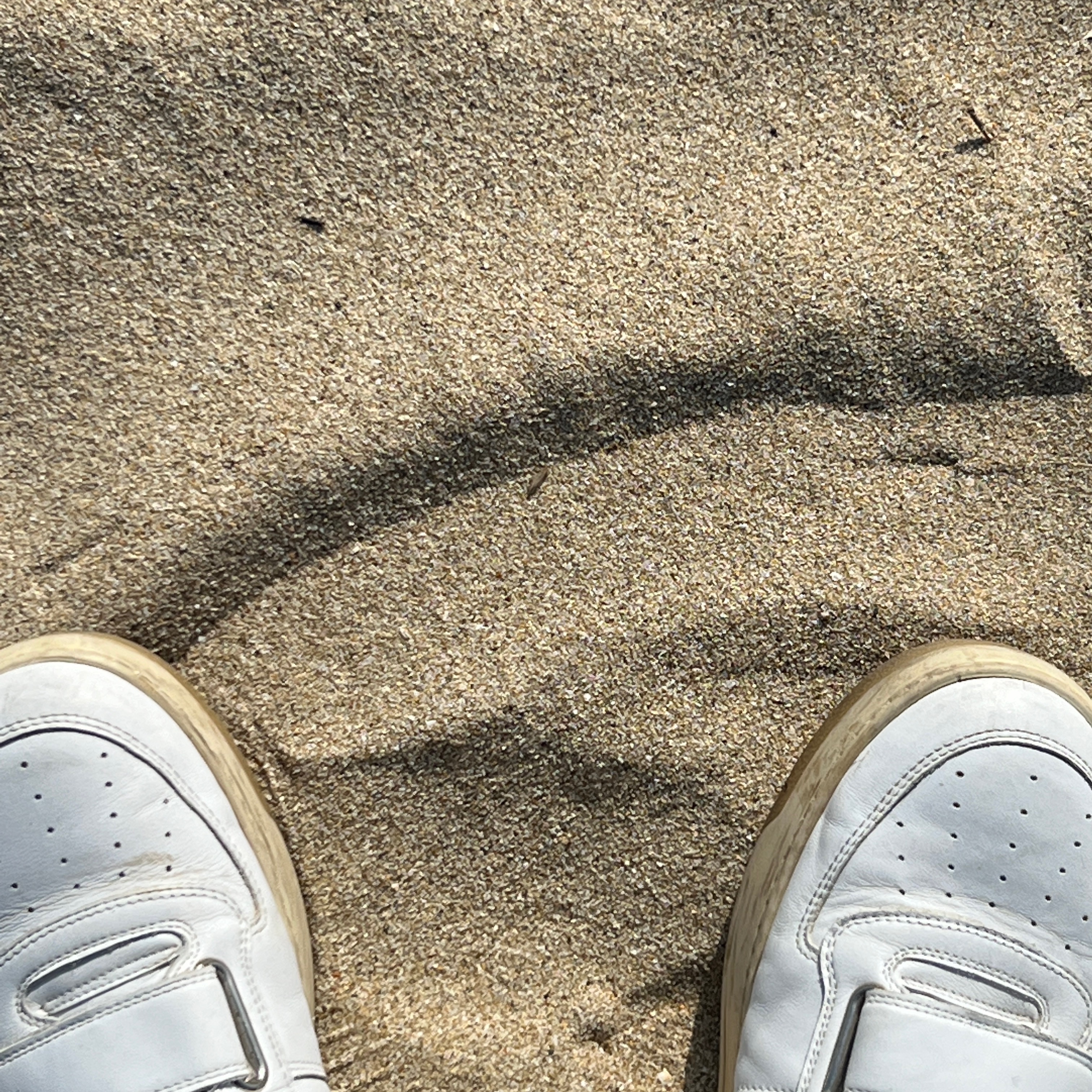 Acne Studios Perey Velcro Strap Sneakers White 착용 스타일