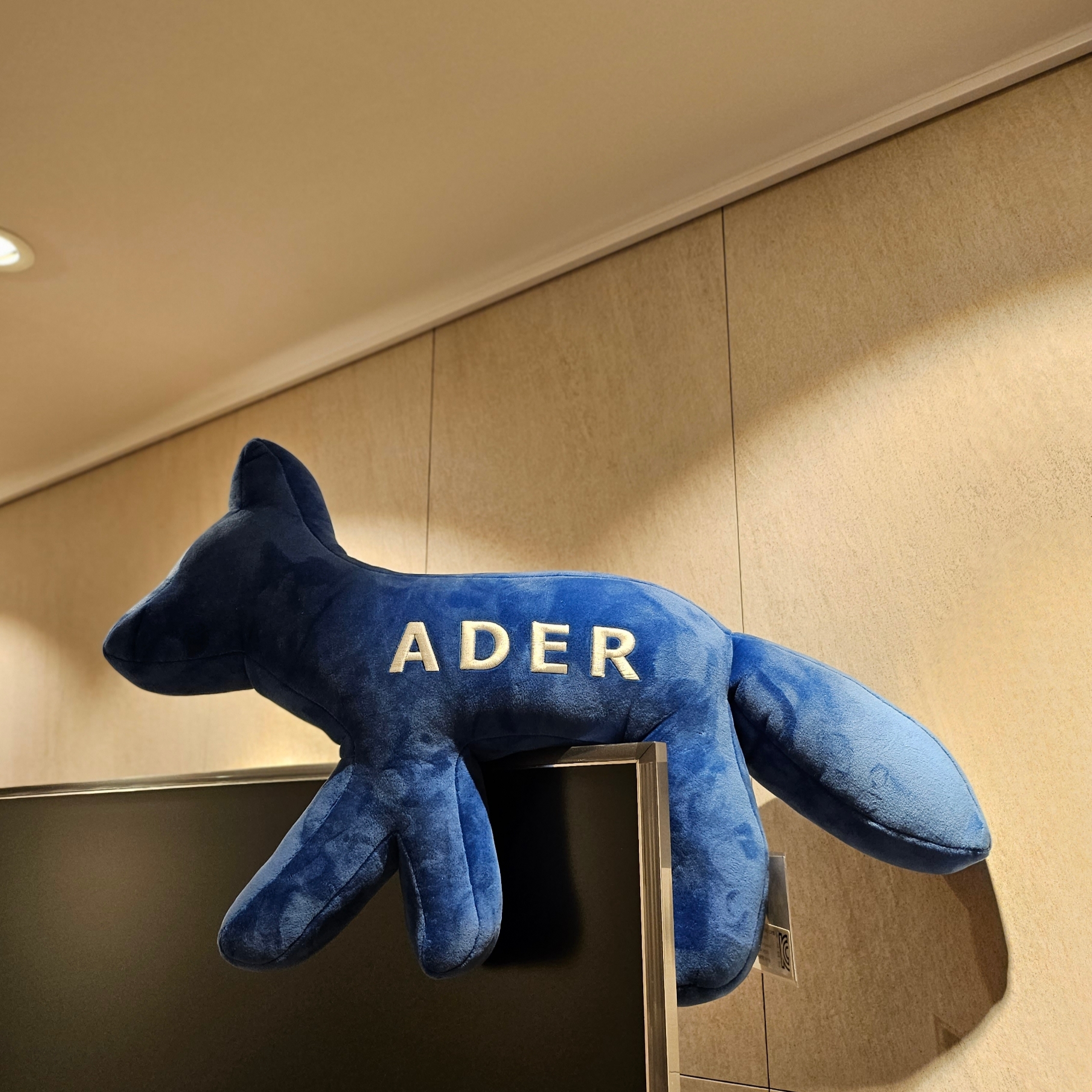 Maison Kitsune x Ader Error A Kitsune Cusion Doll Blue 착용 스타일 - 1