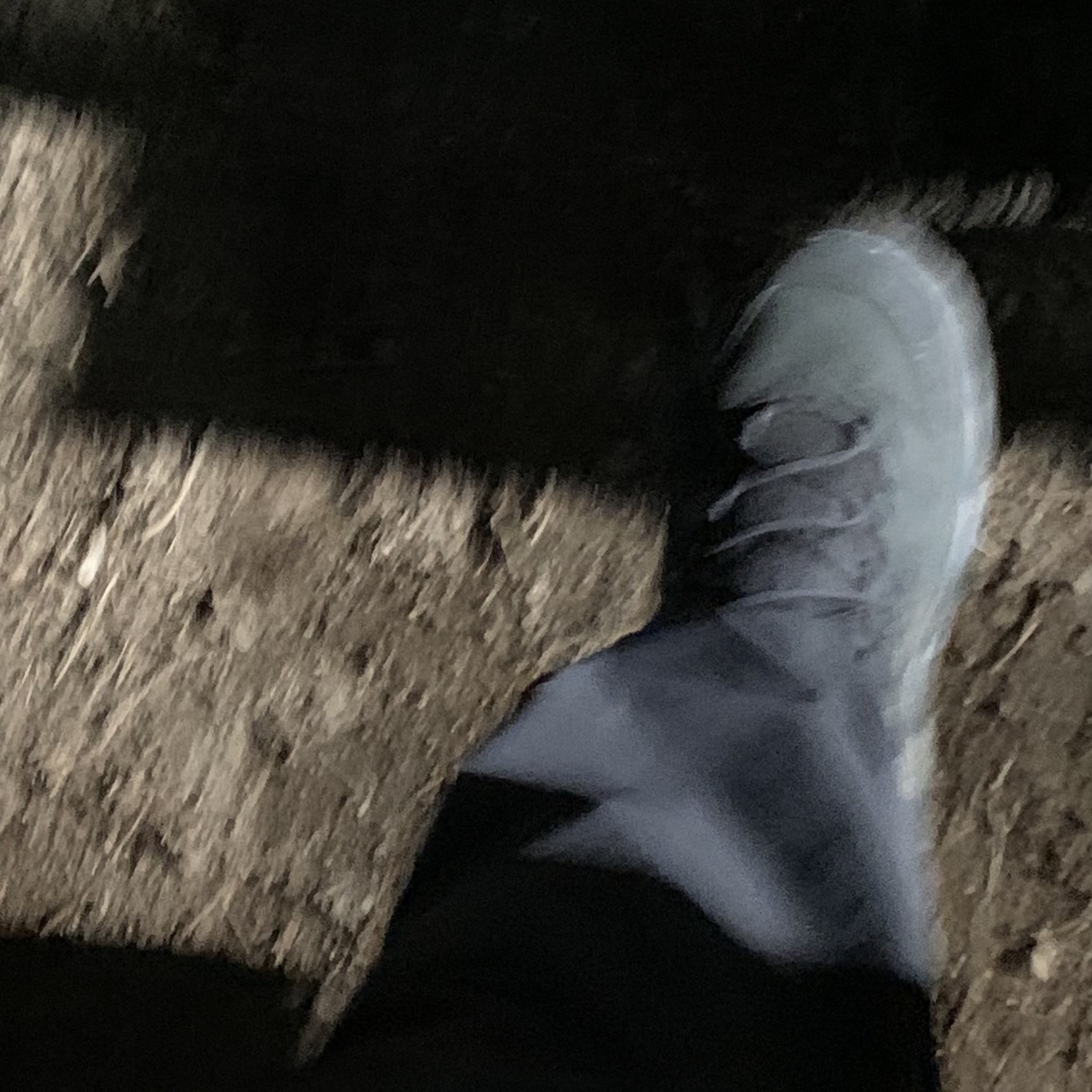 Hoka Kaha 2 Gore-Tex Black 착용 스타일