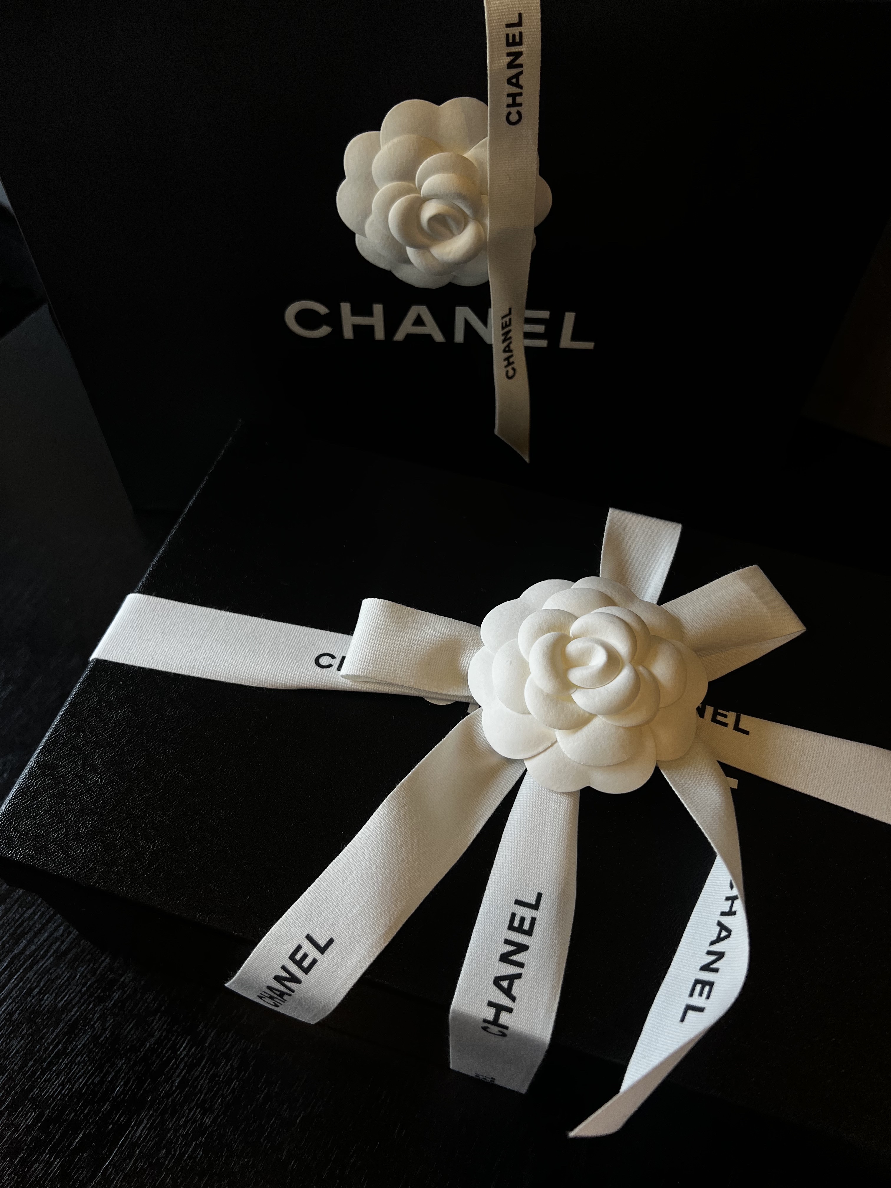 (W) Chanel Ballerina Flat Shiny Goatskin Patent Calfskin & Light Grey Black 착용 스타일 - 1