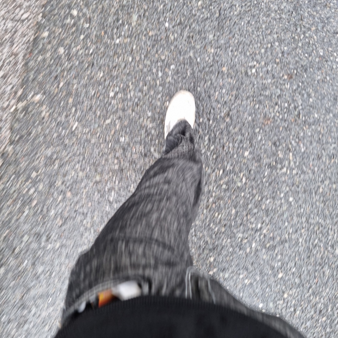 Golden Goose Stardan White Silver Heel Tab Sneakers 착용 스타일 - 3