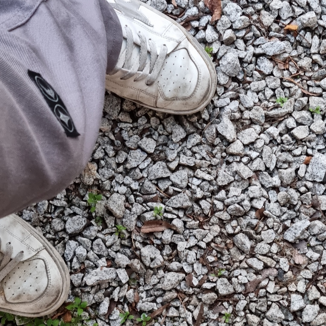 Golden Goose Stardan White Silver Heel Tab Sneakers 착용 스타일 - 2