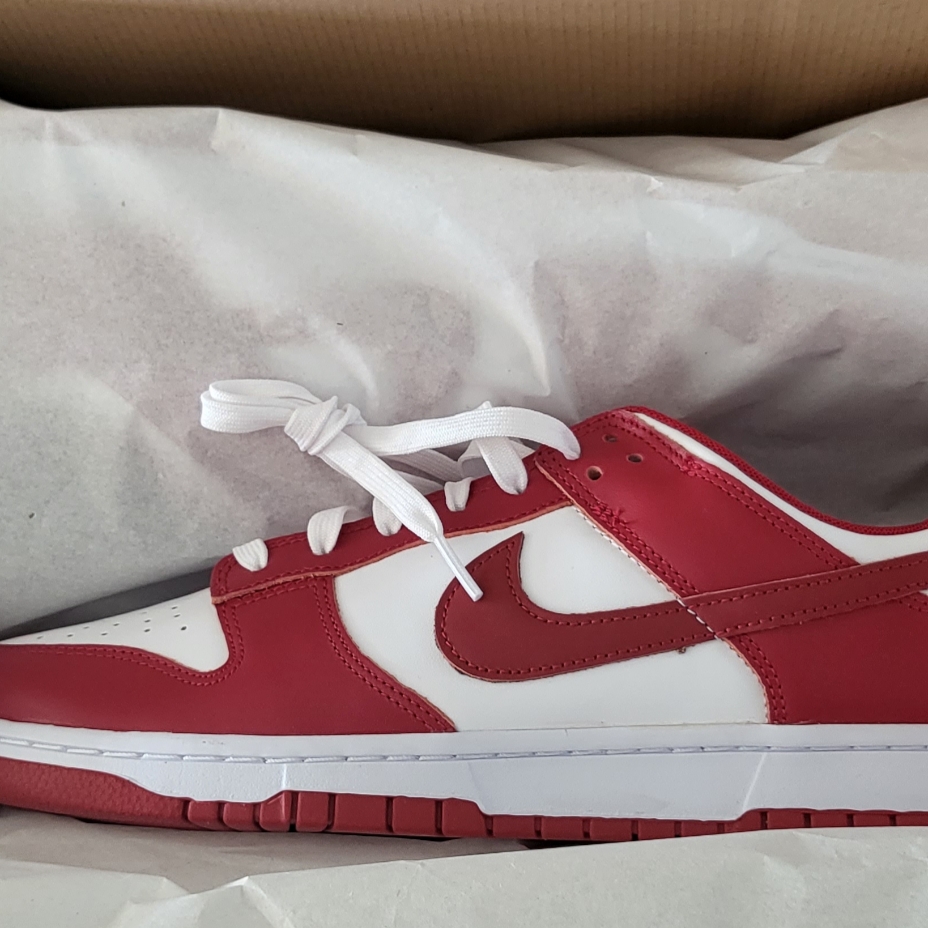 Nike Dunk Low Retro Gym Red 착용 스타일