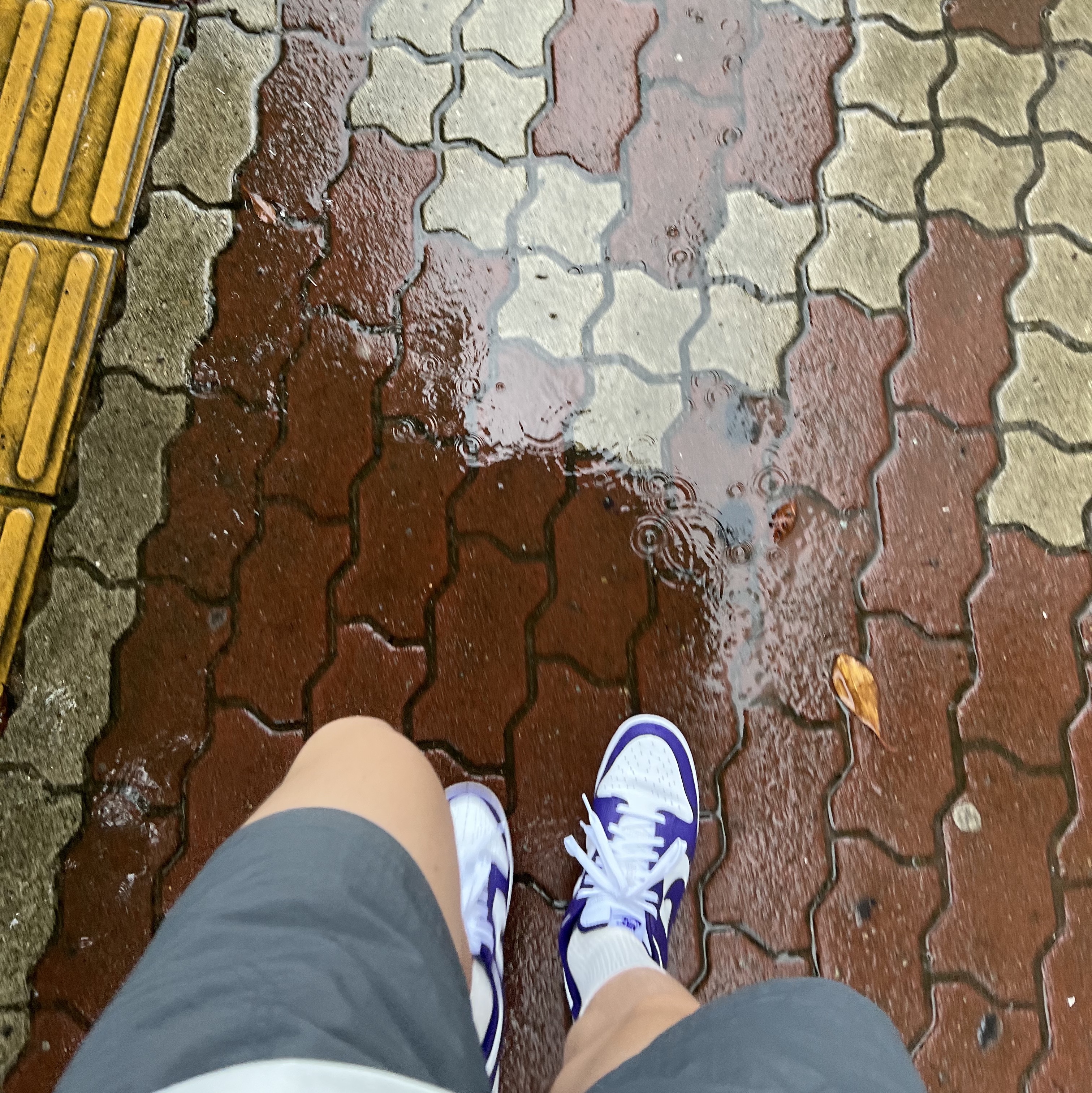 Nike Dunk Low Retro Championship Court Purple 착용 스타일