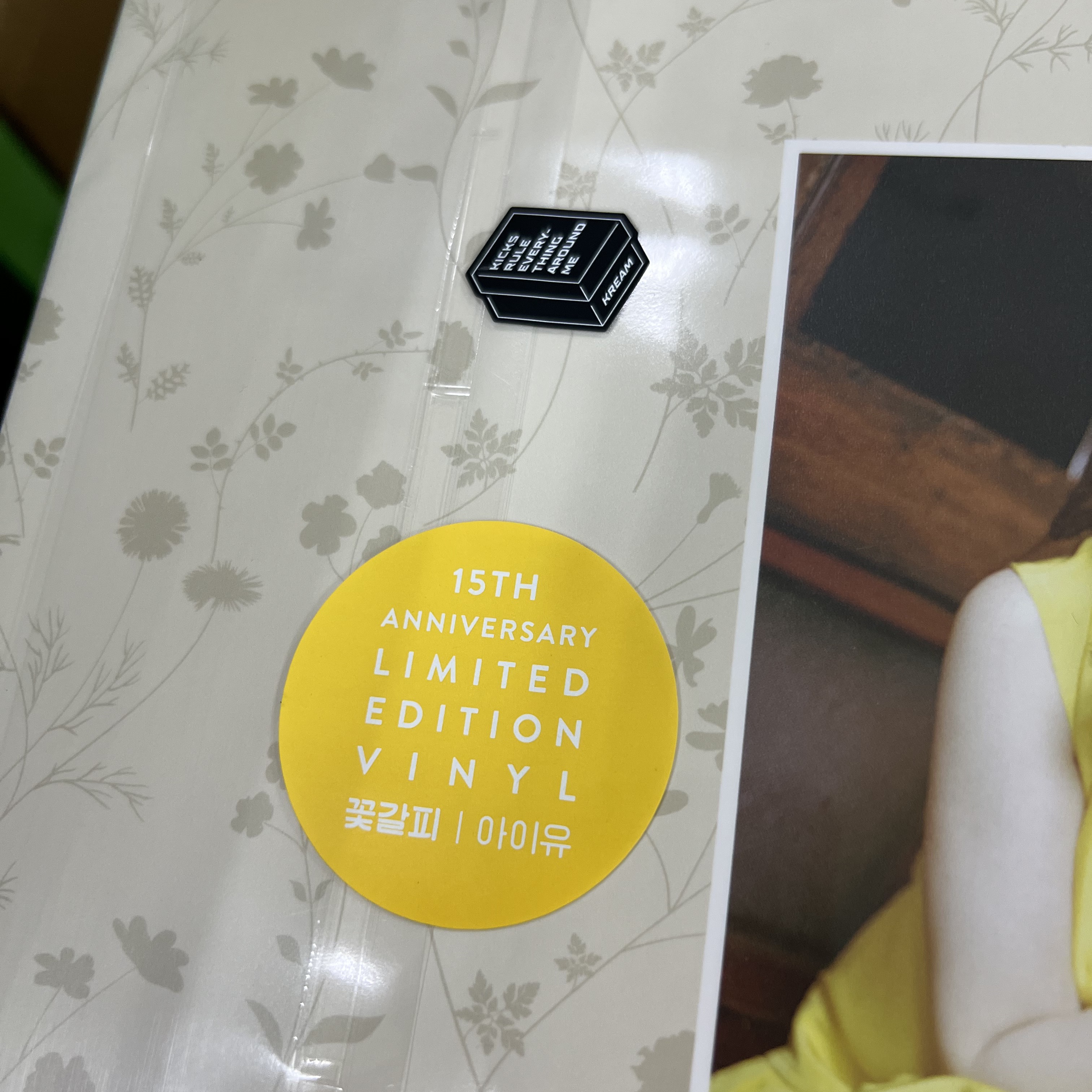 IU Remake Album A Flower Bookmark (Edam Ver.) LP 착용 스타일 - 3