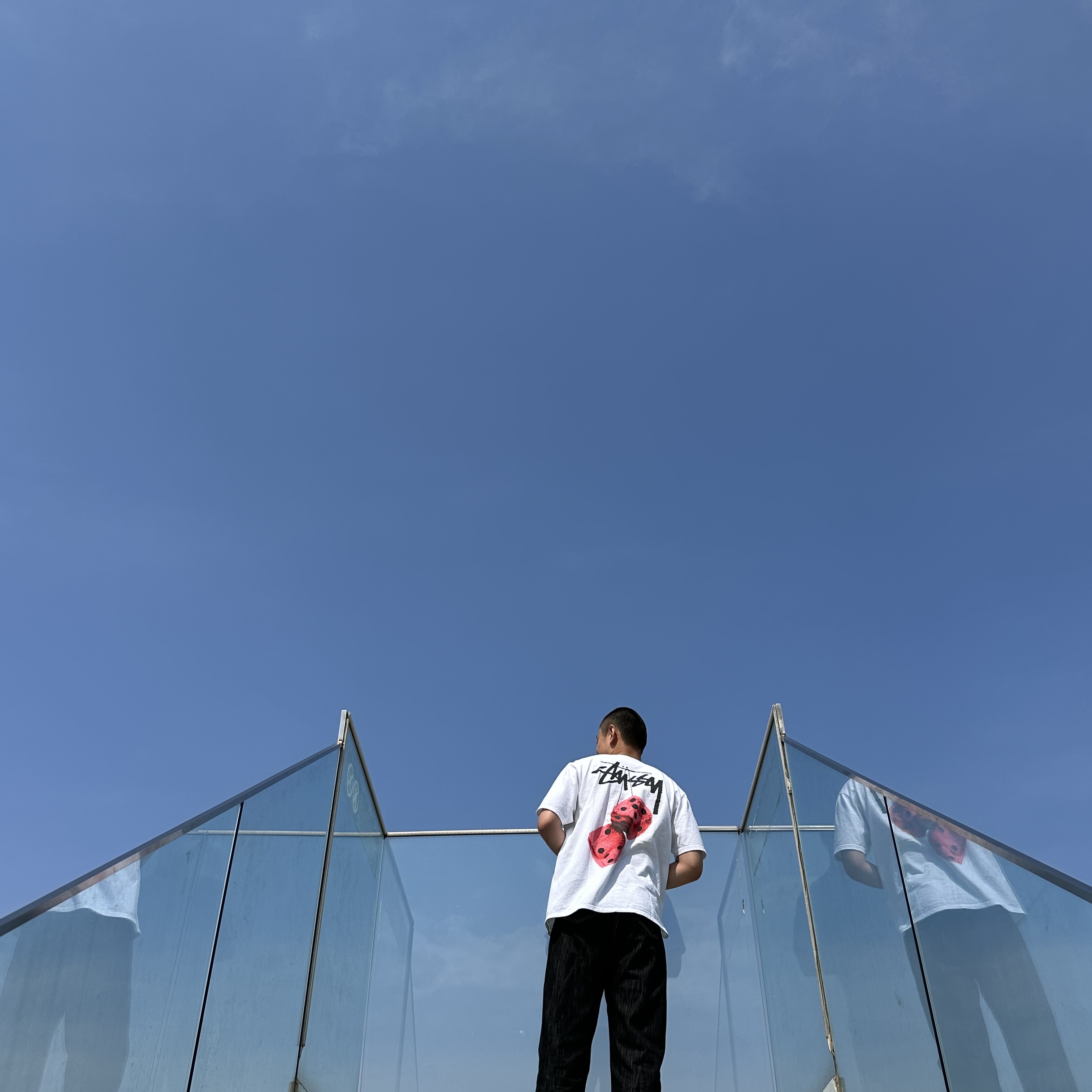 Stussy Fuzzy Dice T-Shirt White 착용 스타일 - 1