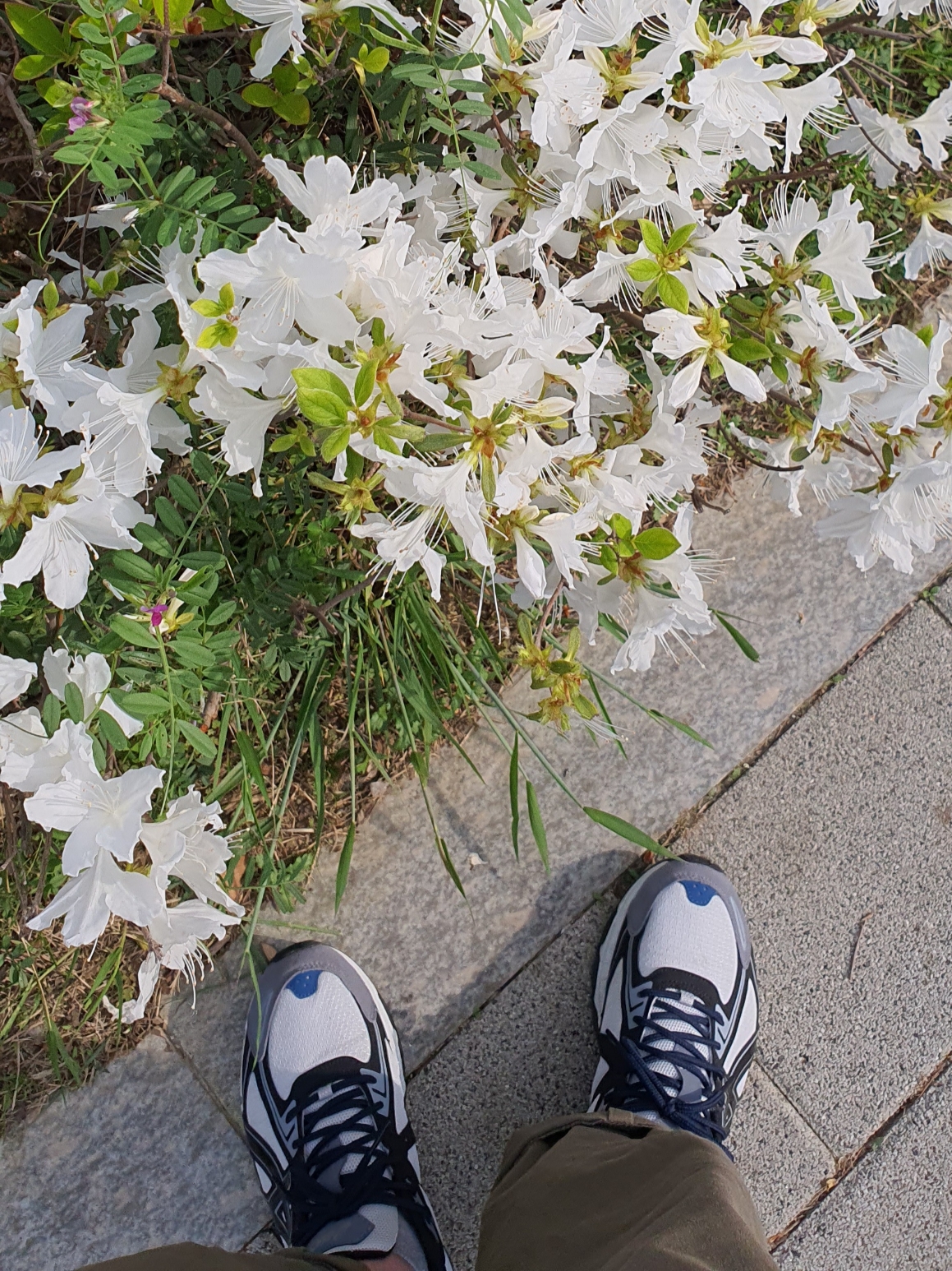 Asics Gel-Venture 6 SPS Glacier Grey 착용 스타일 - 1