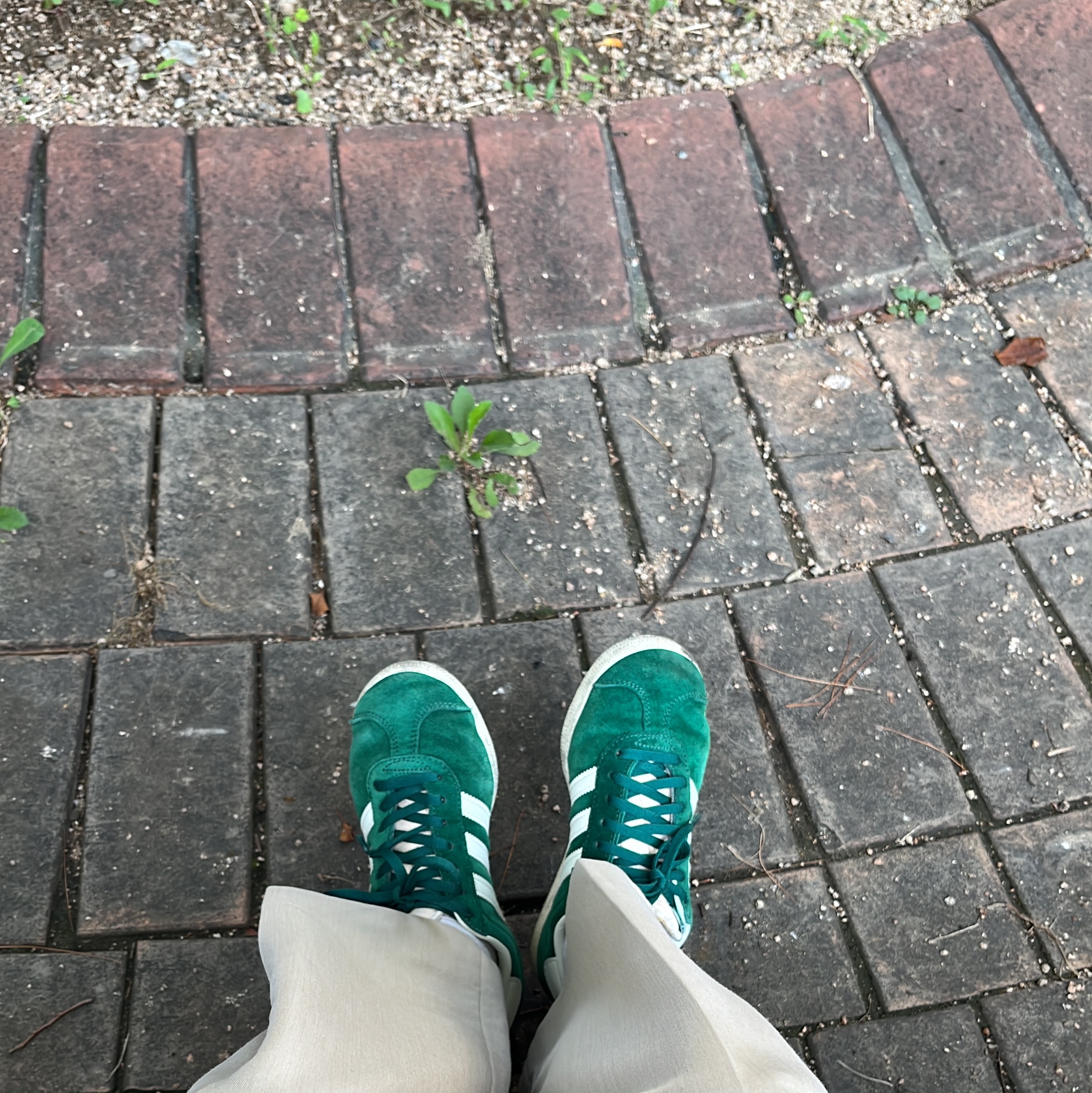 Adidas Gazelle Dark Green Cream White 착용 스타일
