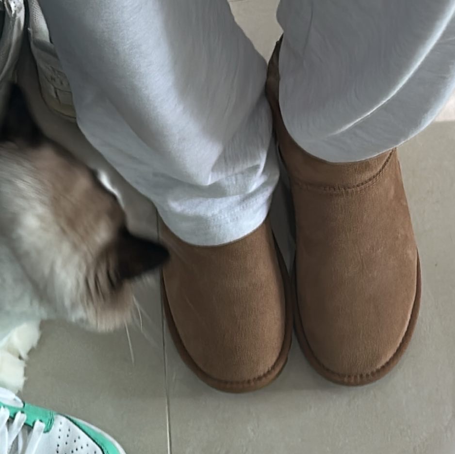 (W) UGG Classic Mini II Boots Chestnut 착용 스타일