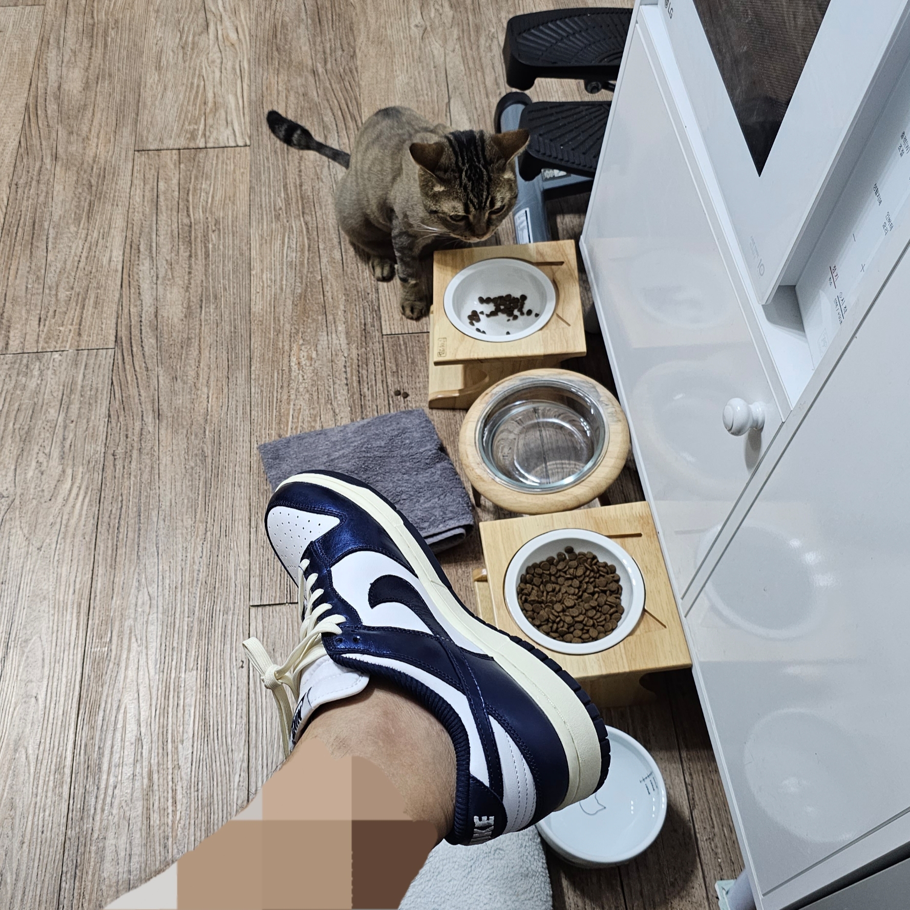 (W) Nike Dunk Low PRM Midnight Navy and White 착용 스타일 - 2