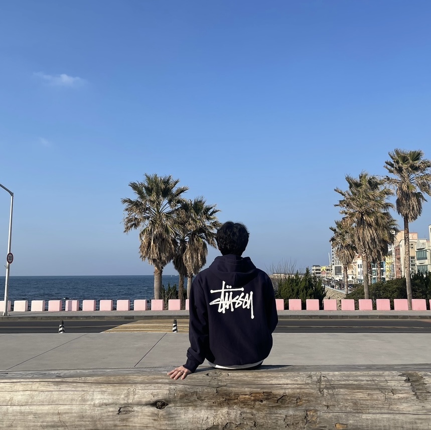 Stussy Basic Stussy Hoodie Navy 2022 착용 스타일