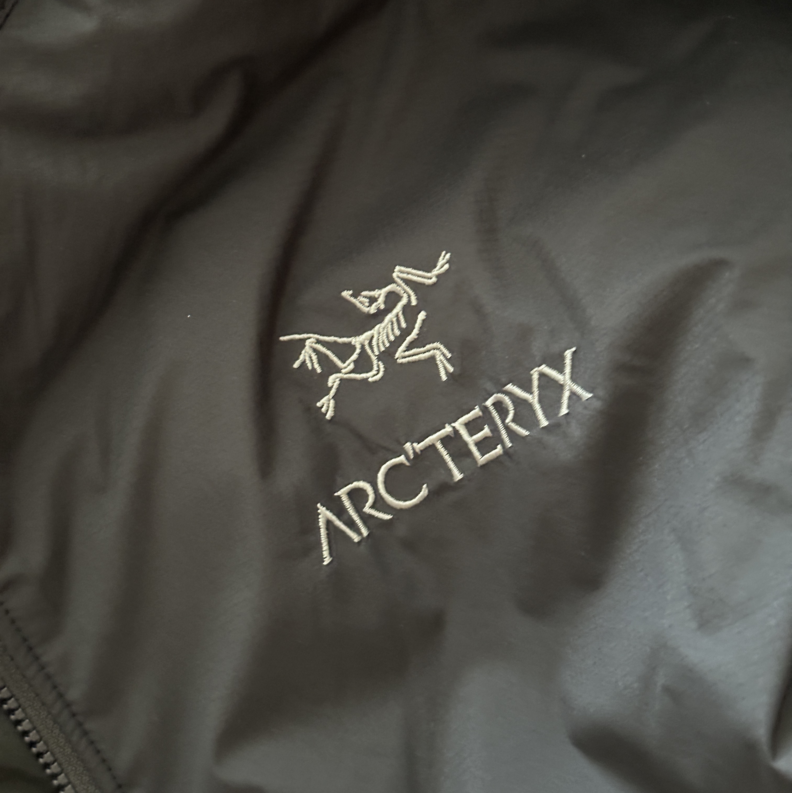 Arc'teryx Atom LT Hoody Black 착용 스타일