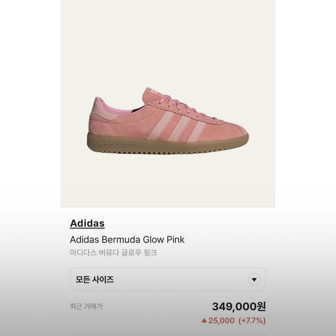 Adidas Bermuda Glow Pink 착용 스타일 - 5