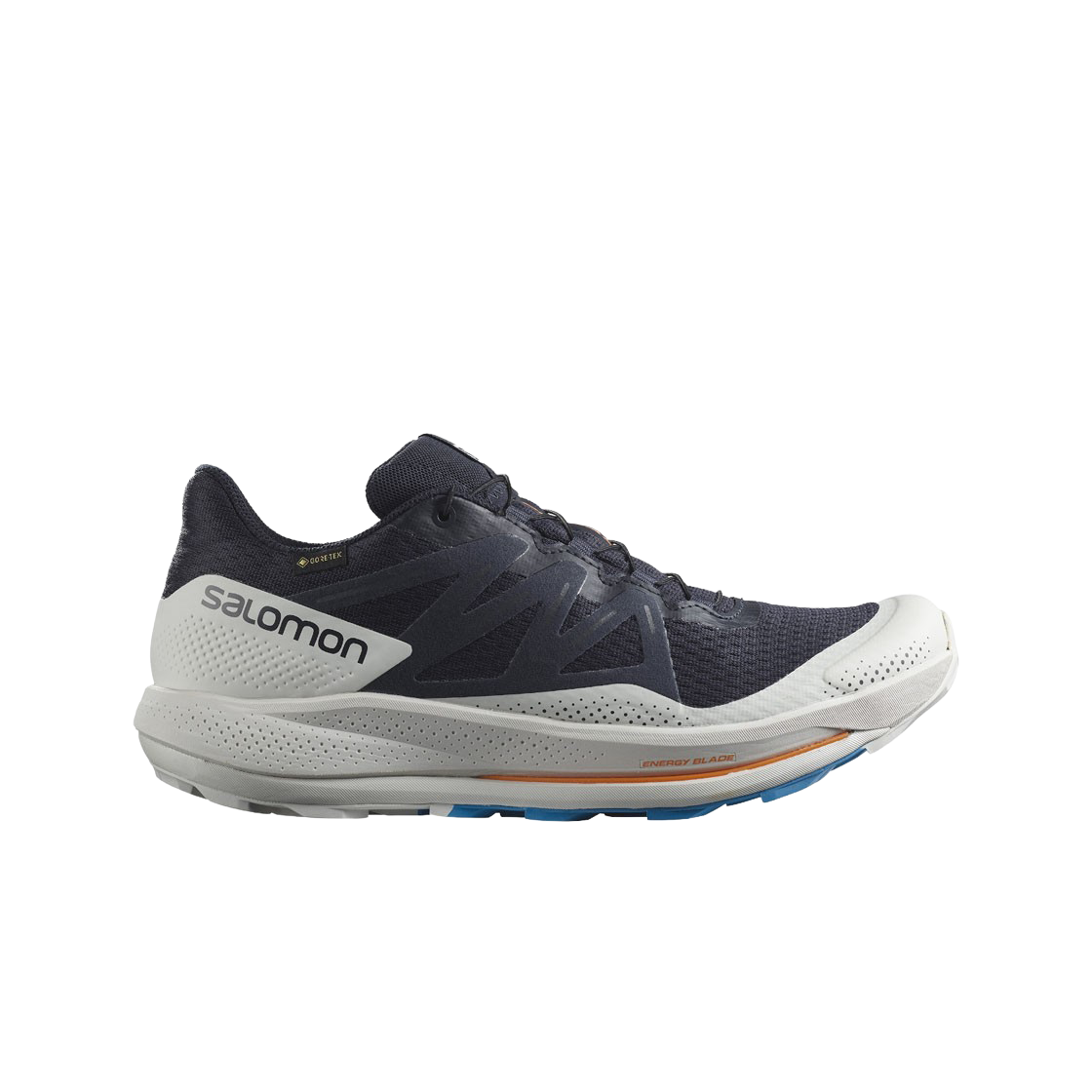 살로몬 펄사 트레일 GTX 나이트 스카이 루나 락(Salomon Pulsar Trail GTX Night Sky Lunar Rock) - 1